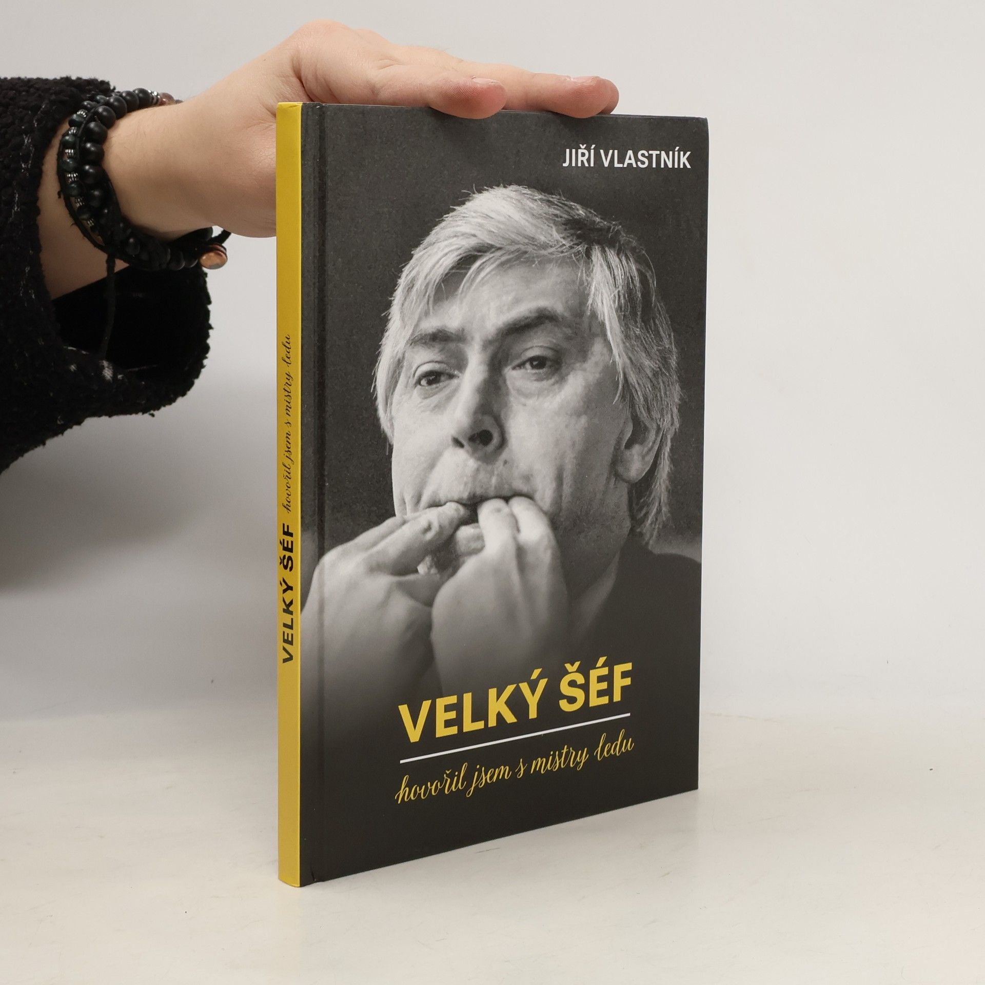 Velký šéf: hovořil jsem s mistry ledu