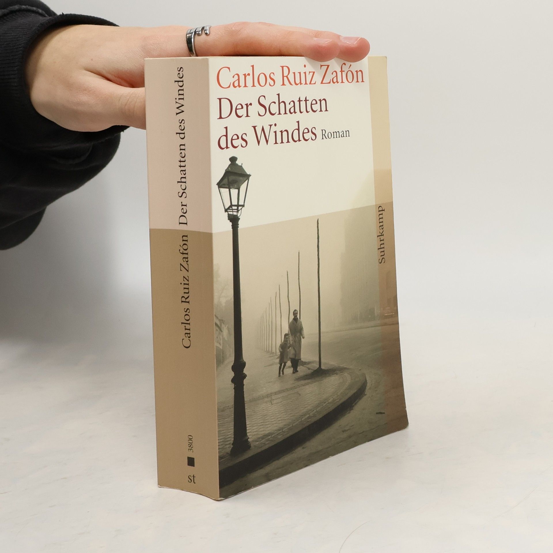 Der Schatten des Windes