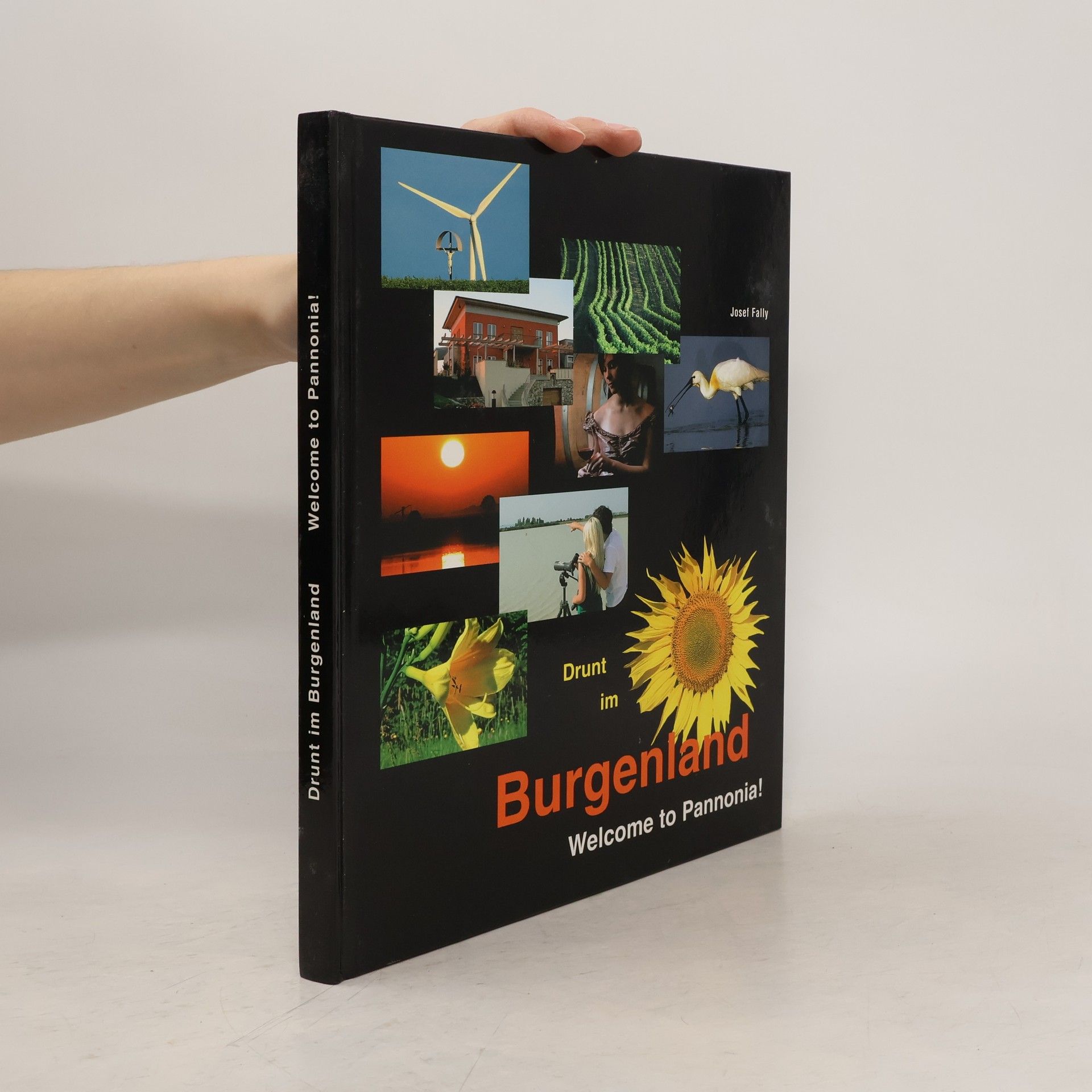 Josef Fally Drunt im Burgenland