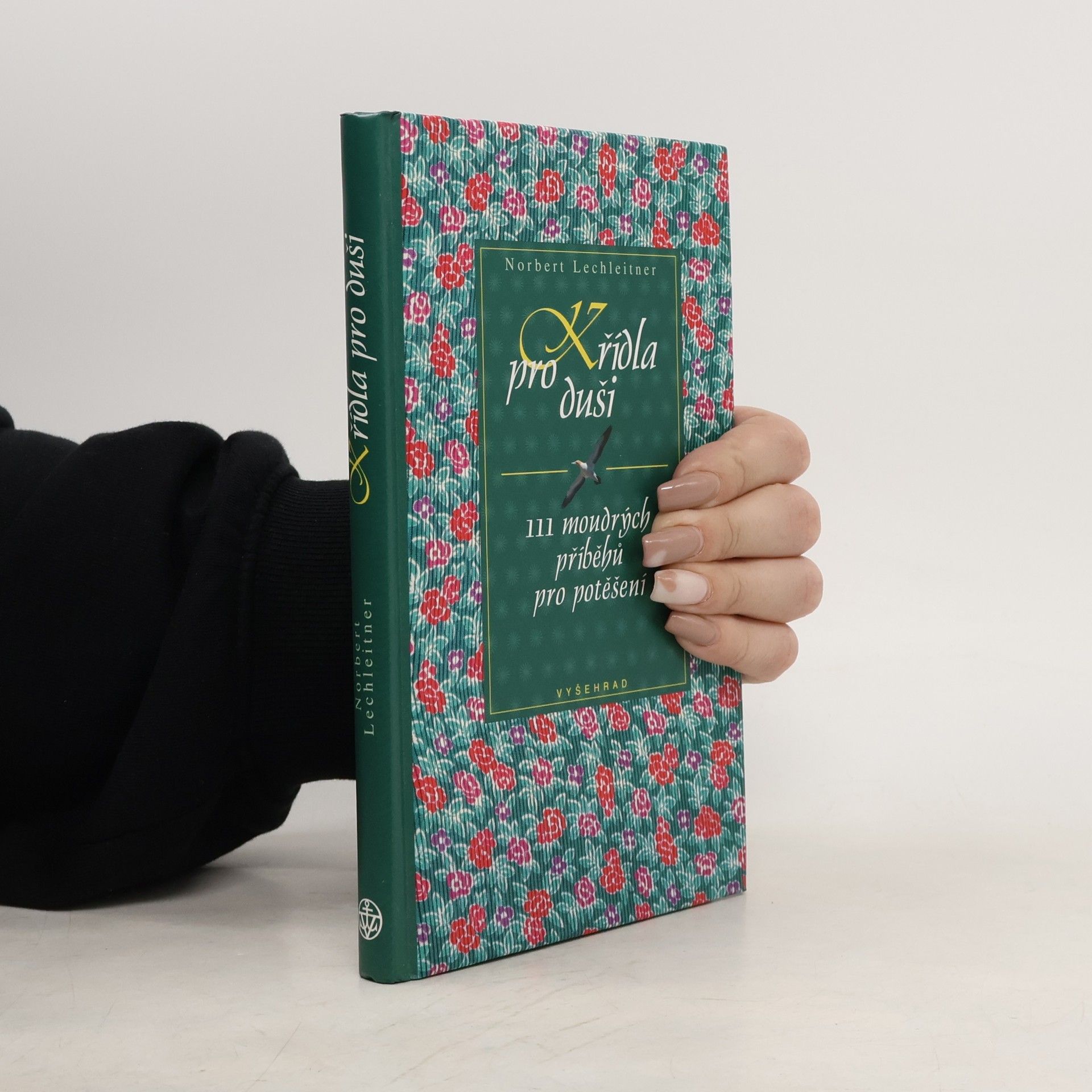 Norbert Lechleitner Křídla pro duši. 111 moudrých příběhů pro potěšení