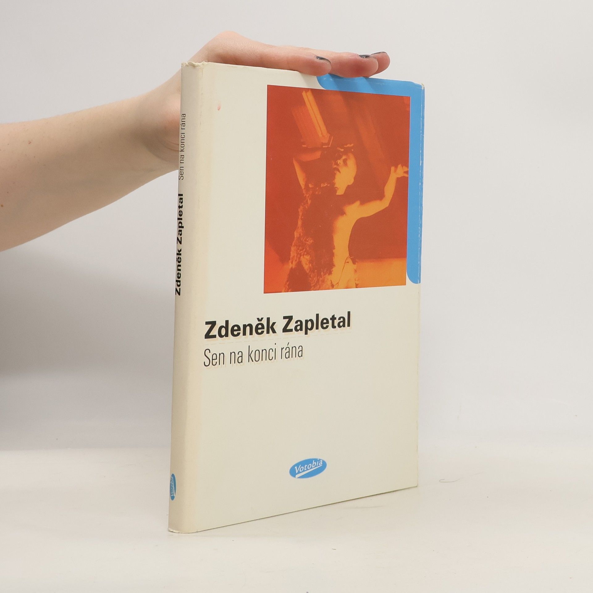 Zdeněk Zapletal Sen na konci rána