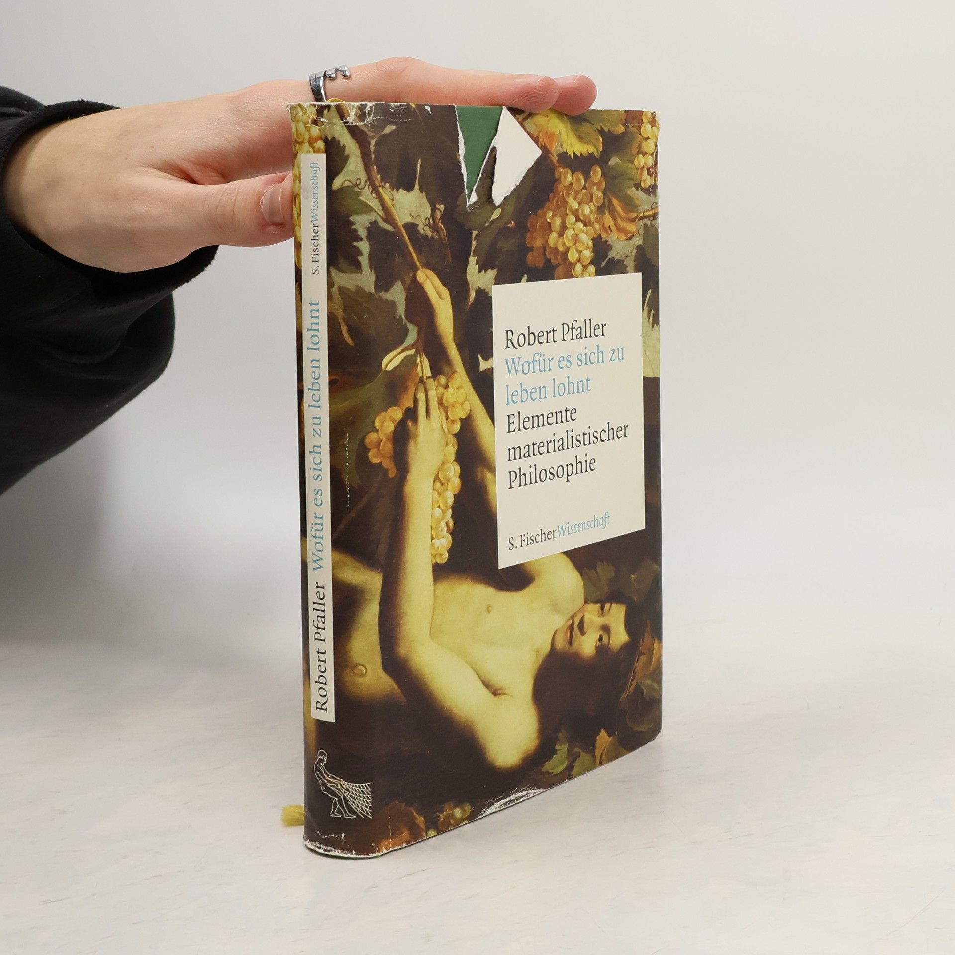 Robert Pfaller Wofür es sich zu leben lohnt