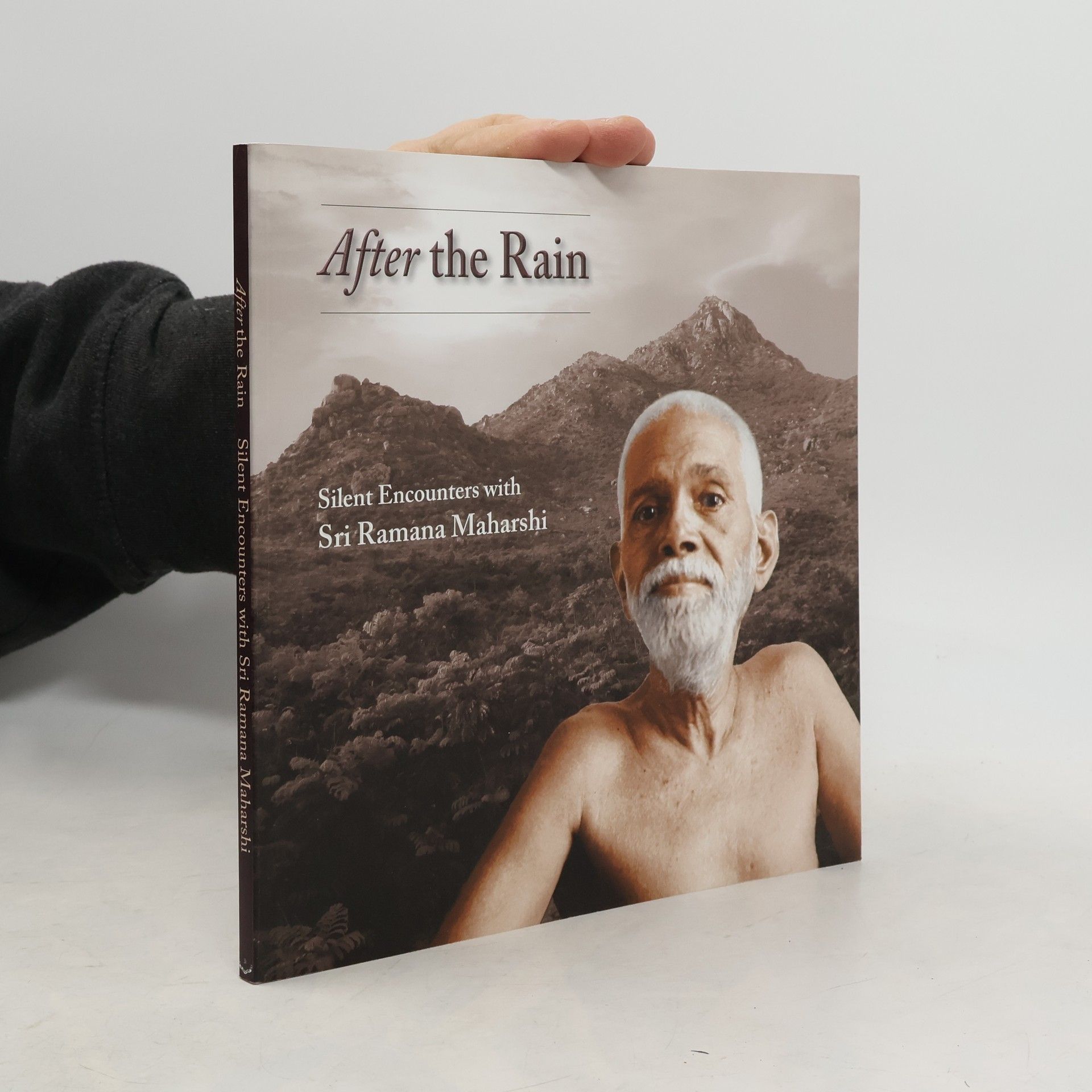 Autores varios After the Rain