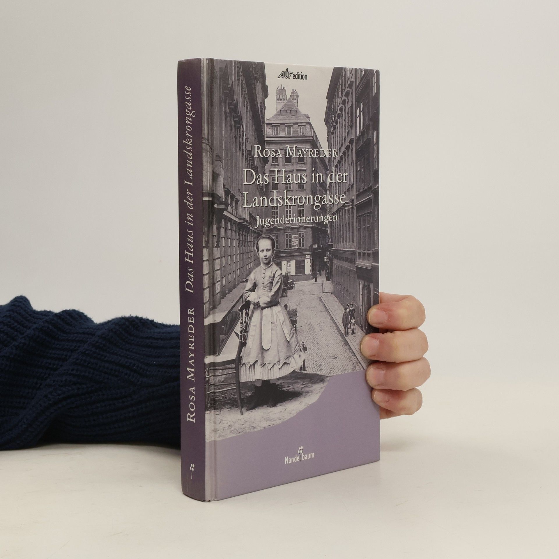 Das Haus in der Landskrongasse