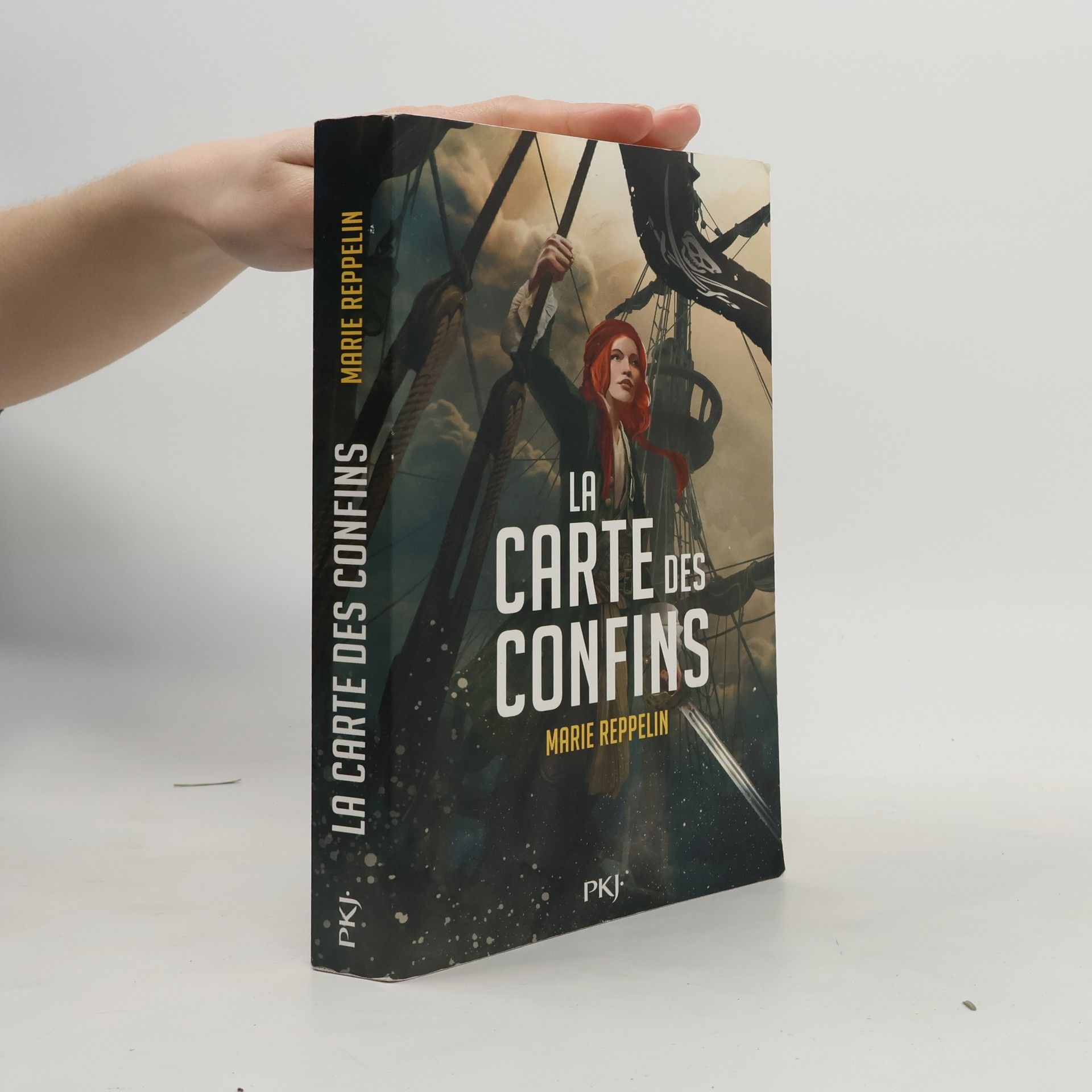 Marie Reppelin La Carte des confins