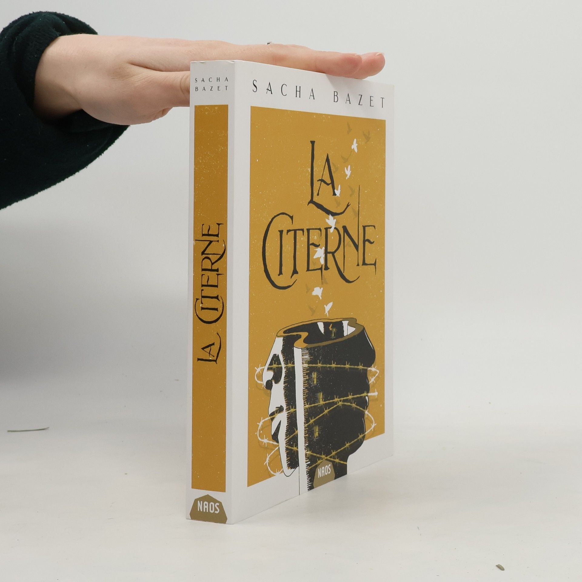 Sacha Bazet La Citerne