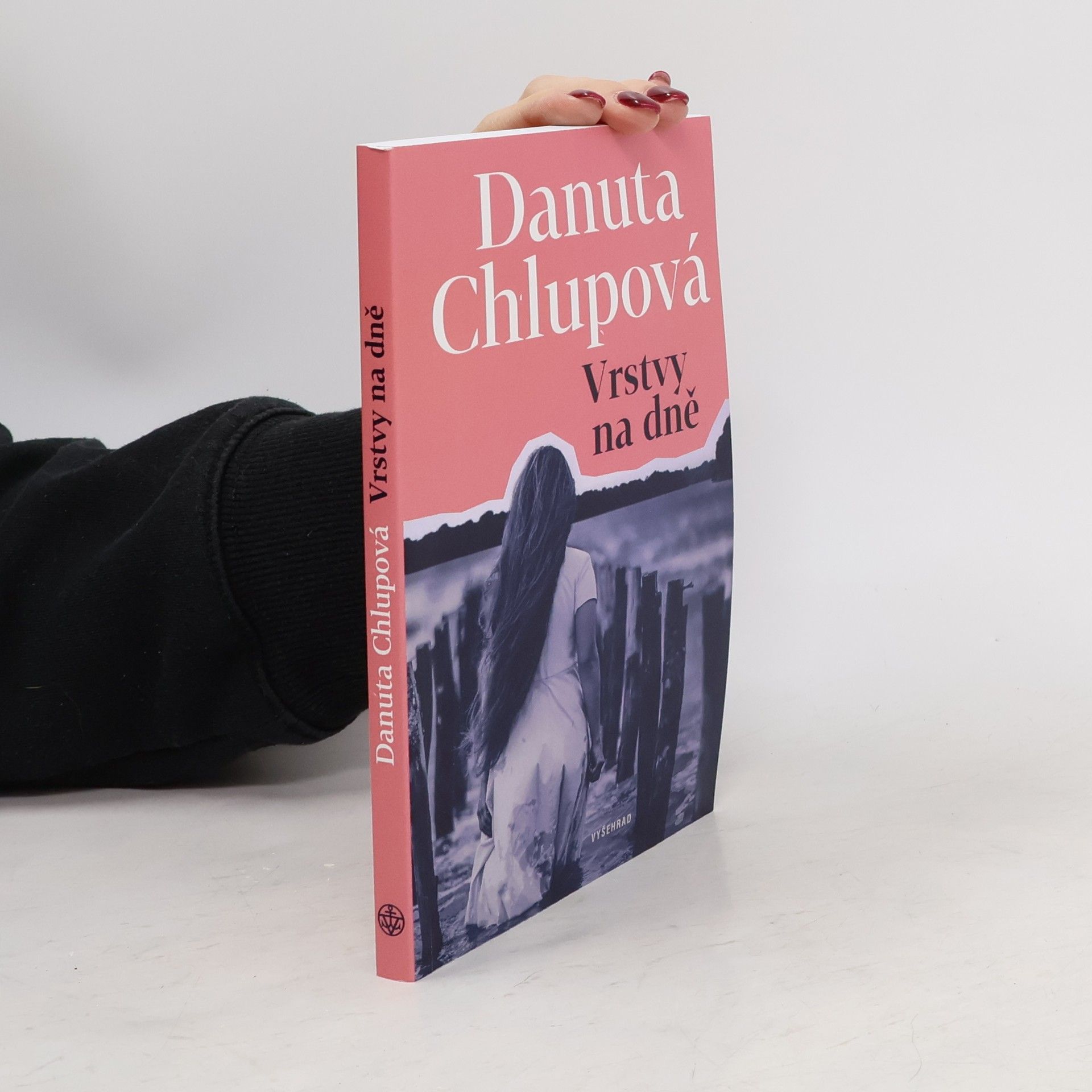 Danuta Chlupowa Vrstvy na dně