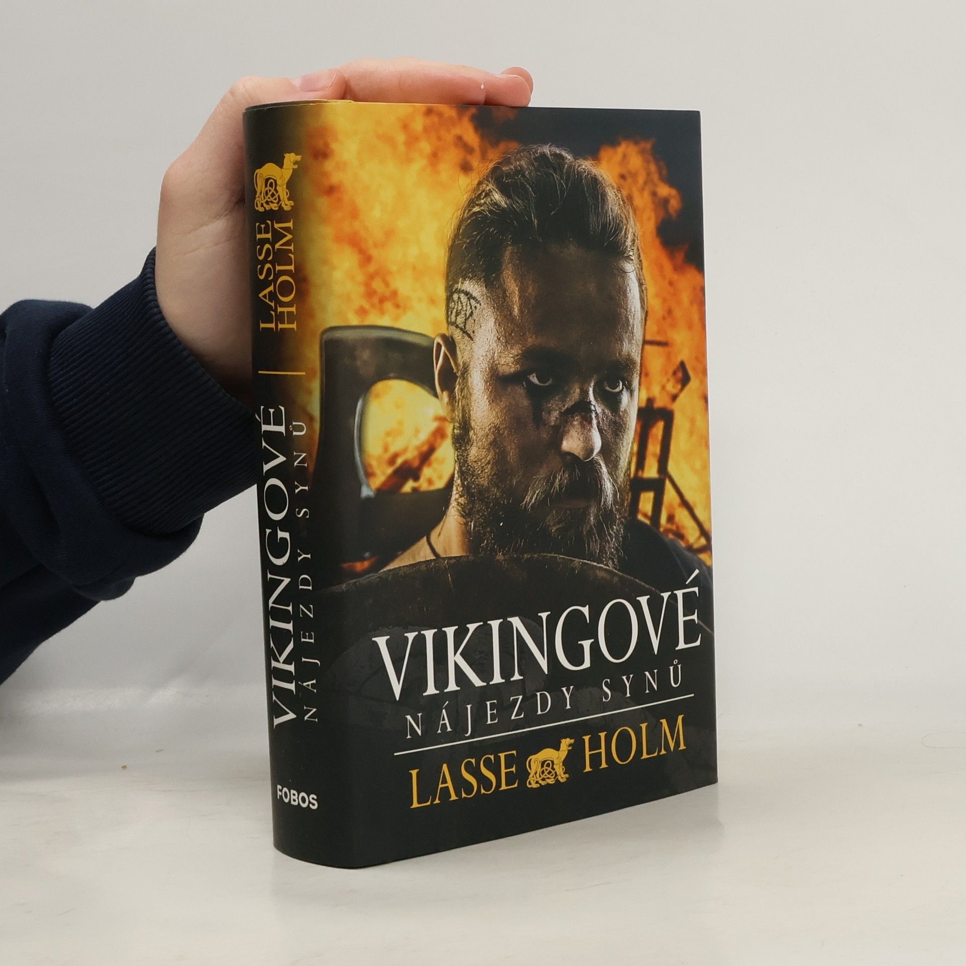 Lasse Holm Vikingové. Nájezdy synů