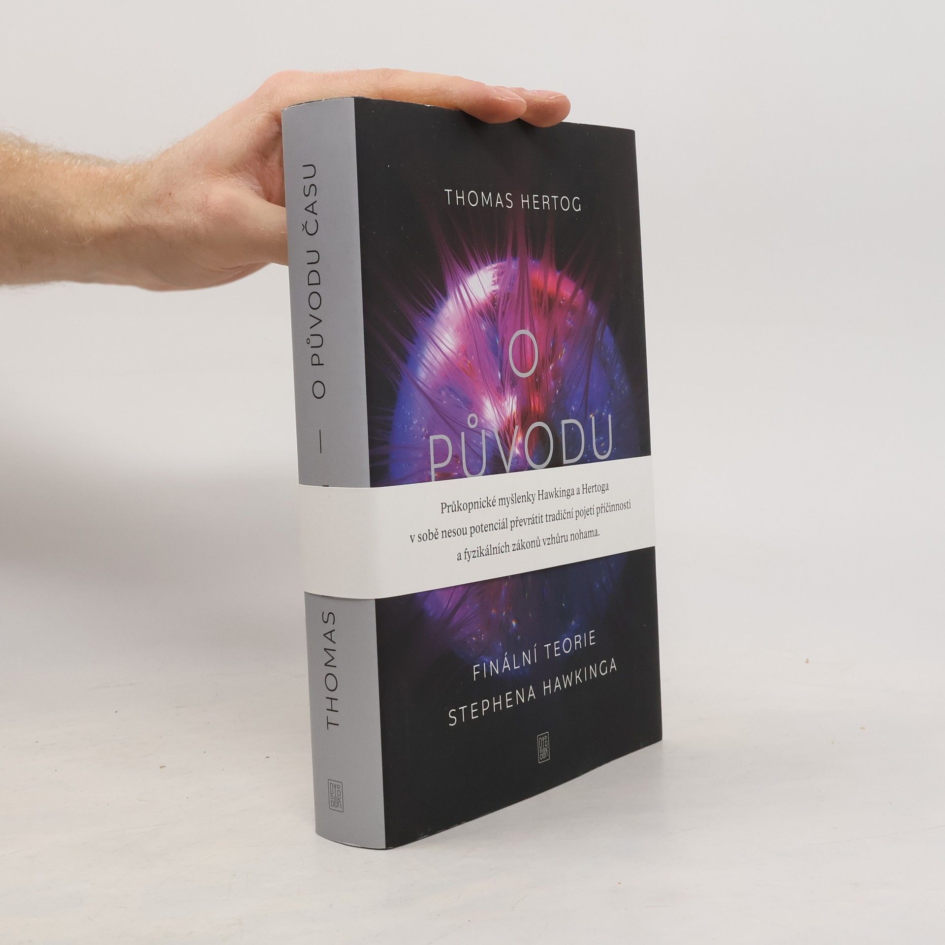 Thomas Hertog O původu času : finální teorie Stephena Hawkinga