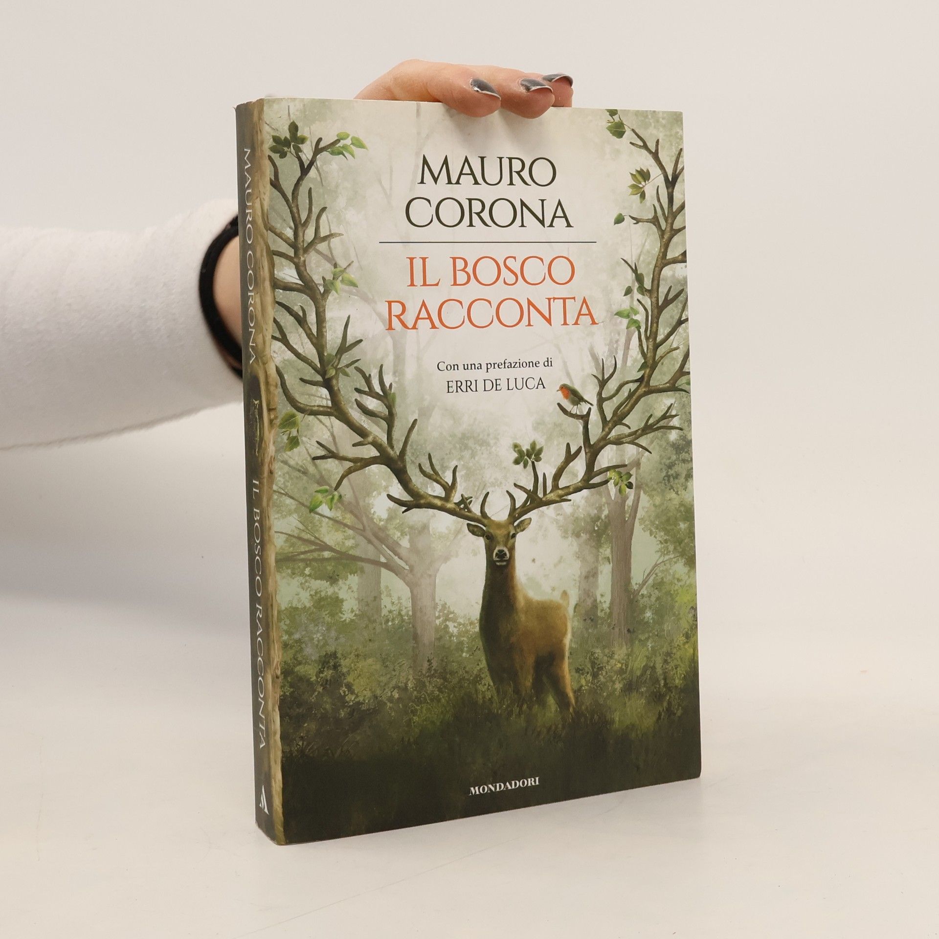 Mauro Corona Il bosco racconta: Storie del bosco antico-Torneranno le quattro stagioni