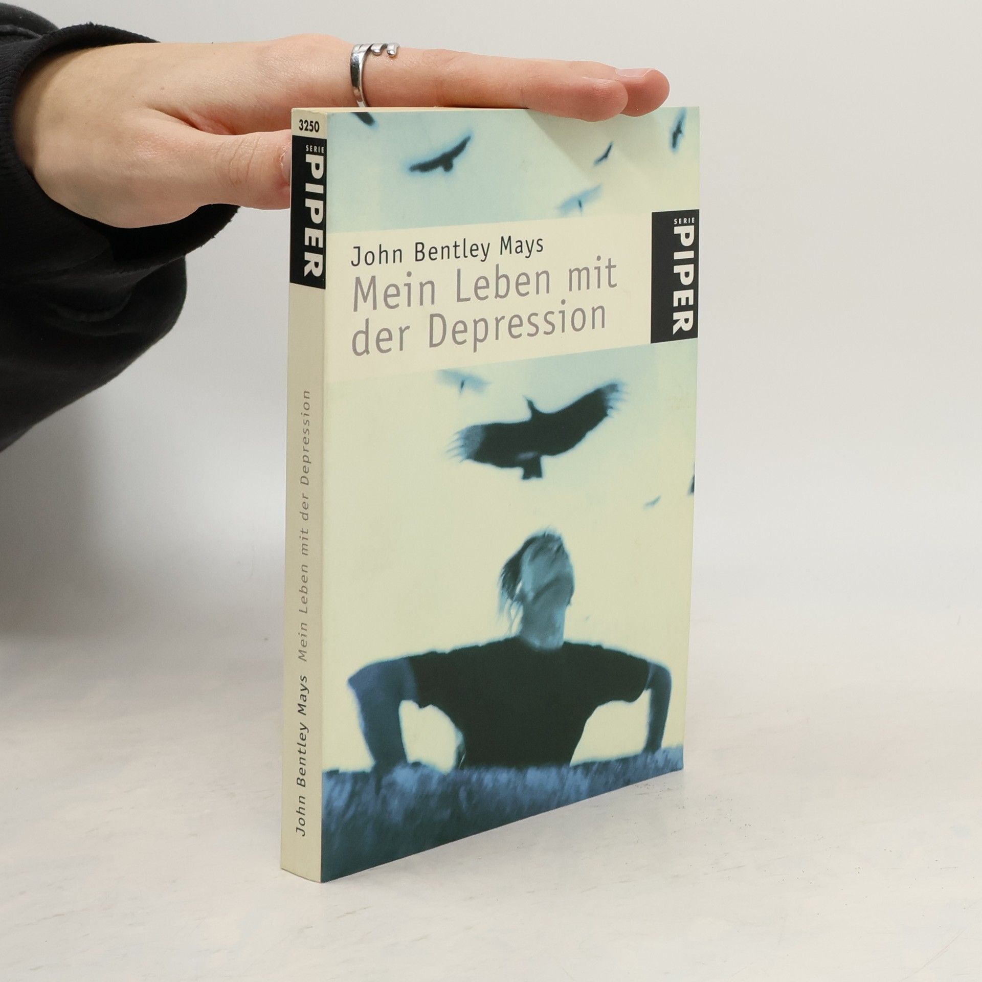 John Bentley Mays Mein Leben mit der Depression