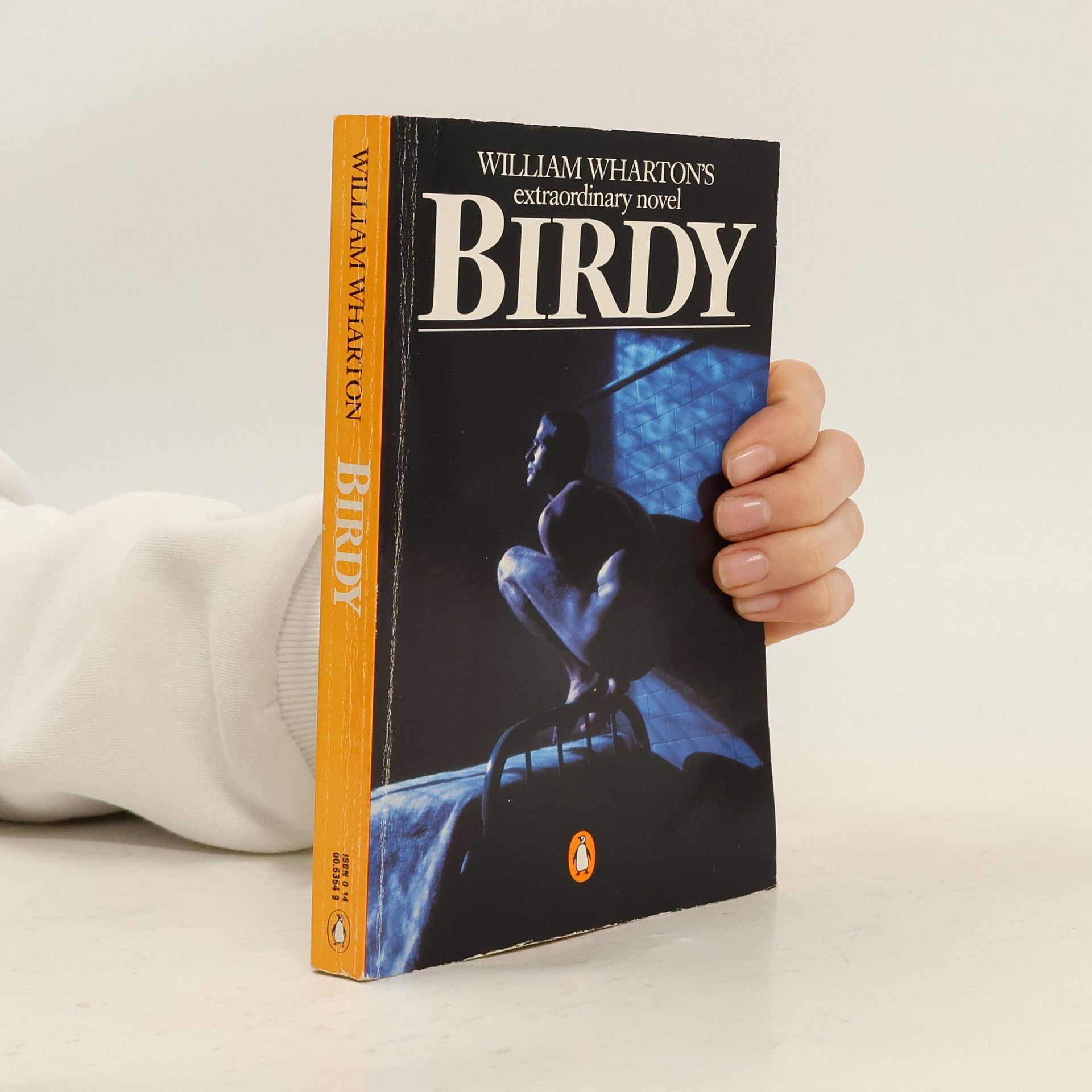 William Wharton Birdy