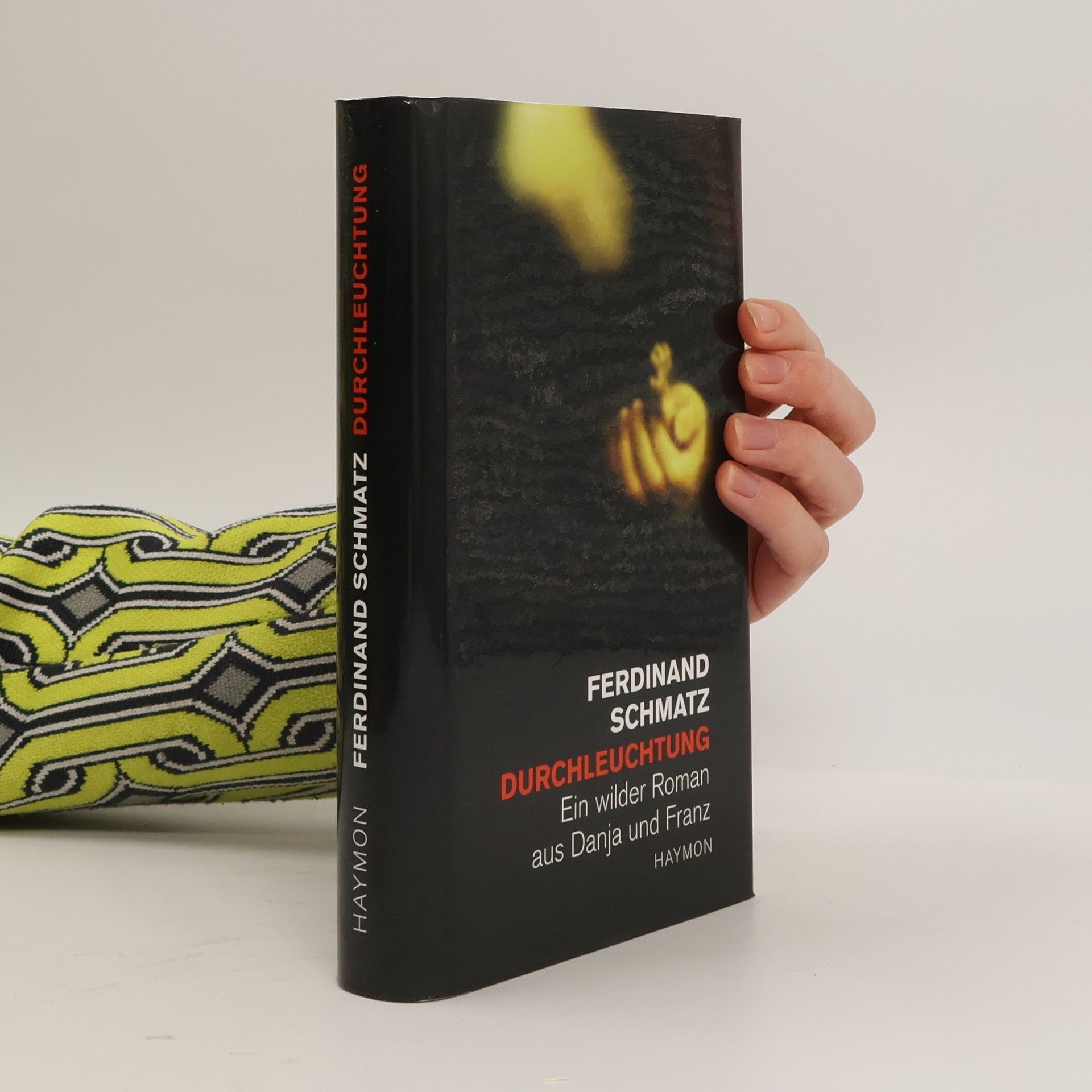 Ferdinand Schmatz Durchleuchtung