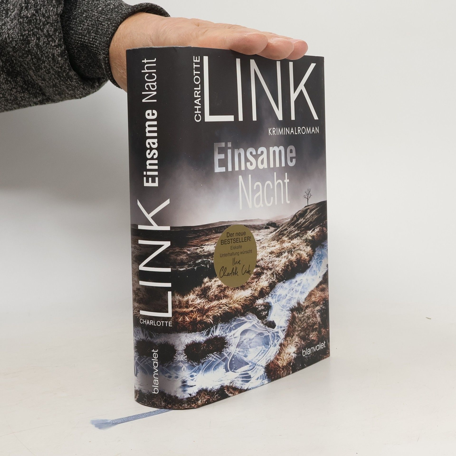 Charlotte Link Einsame Nacht