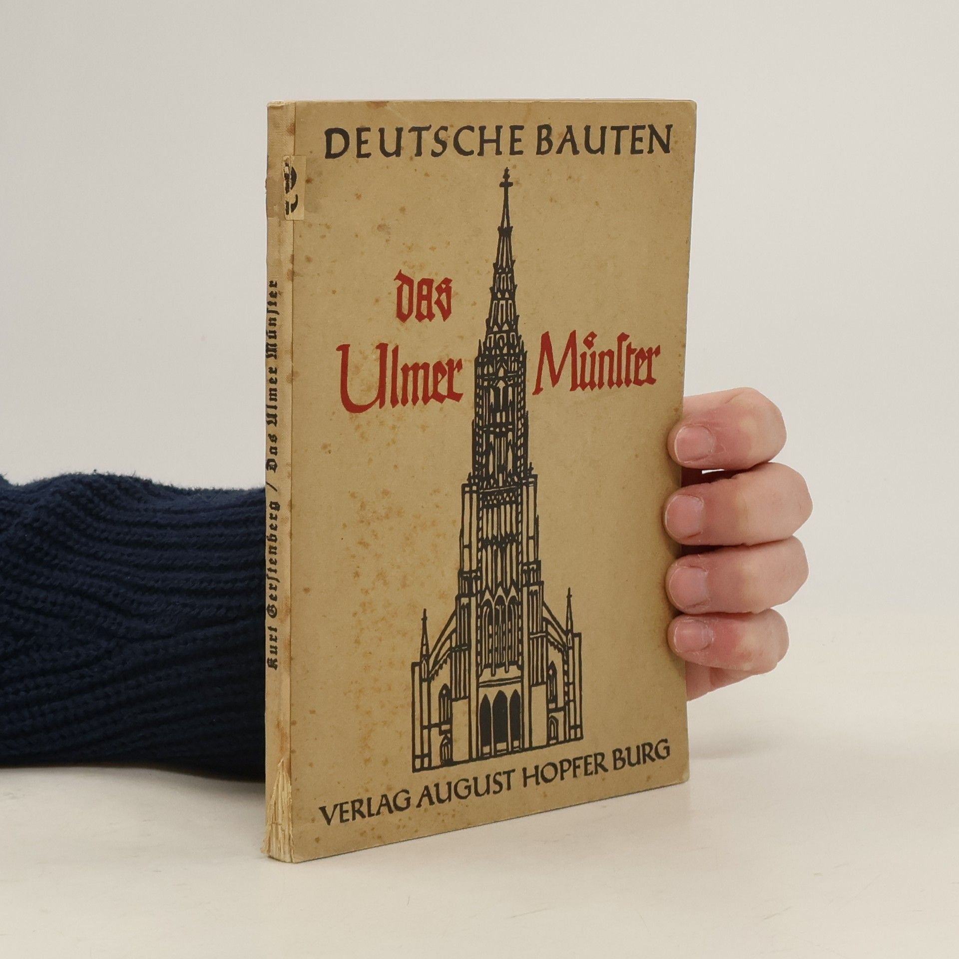 Various authors Das Ulmer Münster