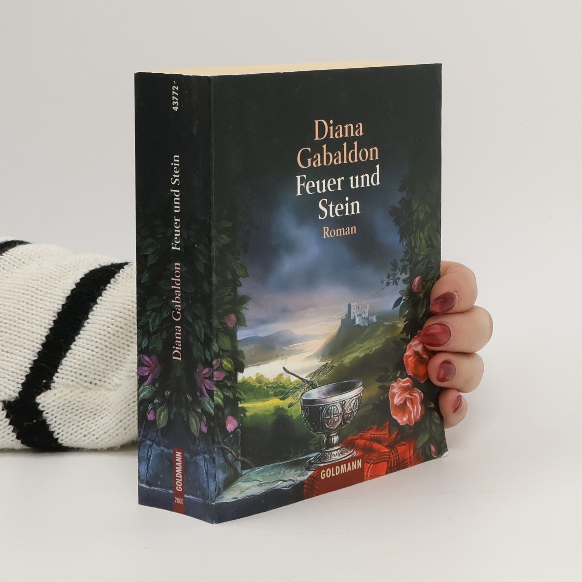 Diana Gabaldon Feuer und Stein