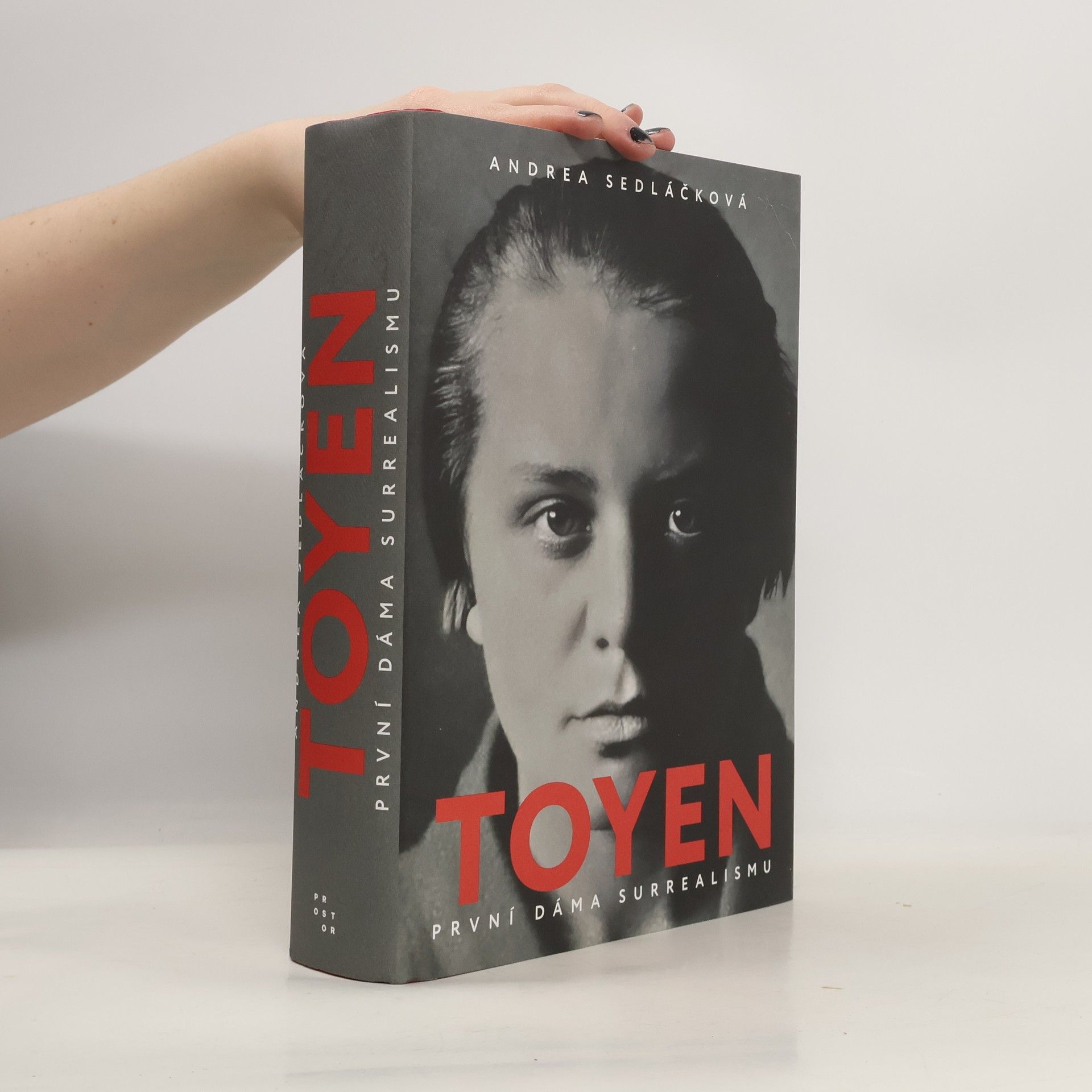 Andrea Sedláčková Toyen: první dáma surrealismu