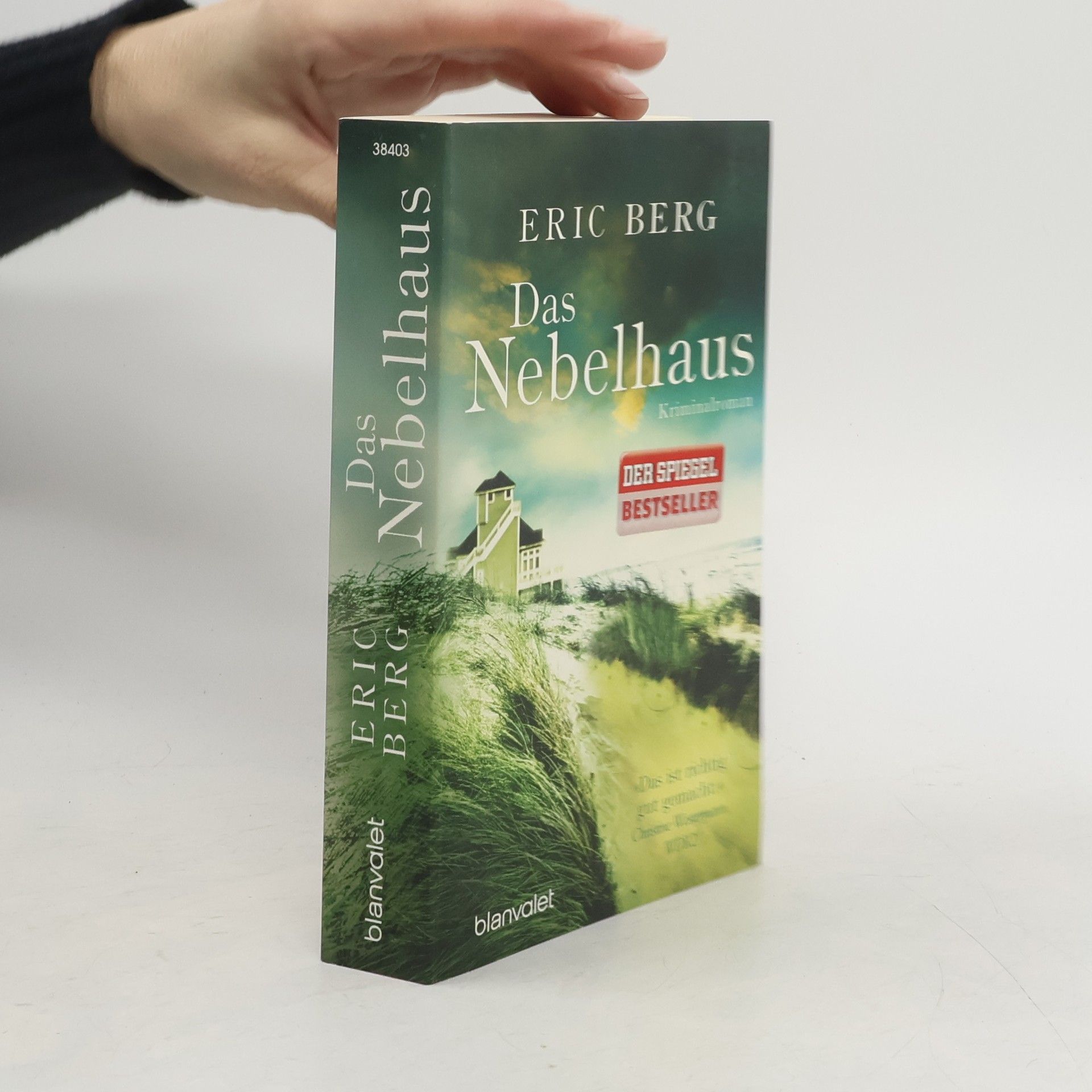 Eric Berg Das Nebelhaus