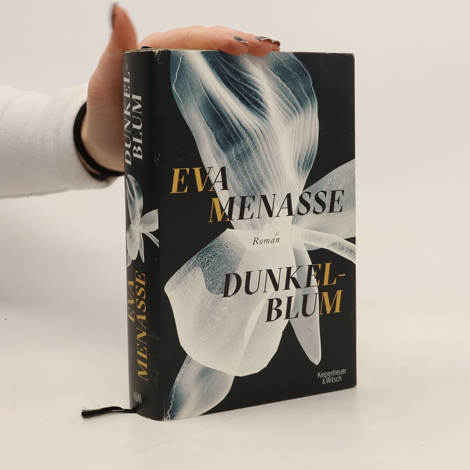 Eva Menasse Dunkelblum