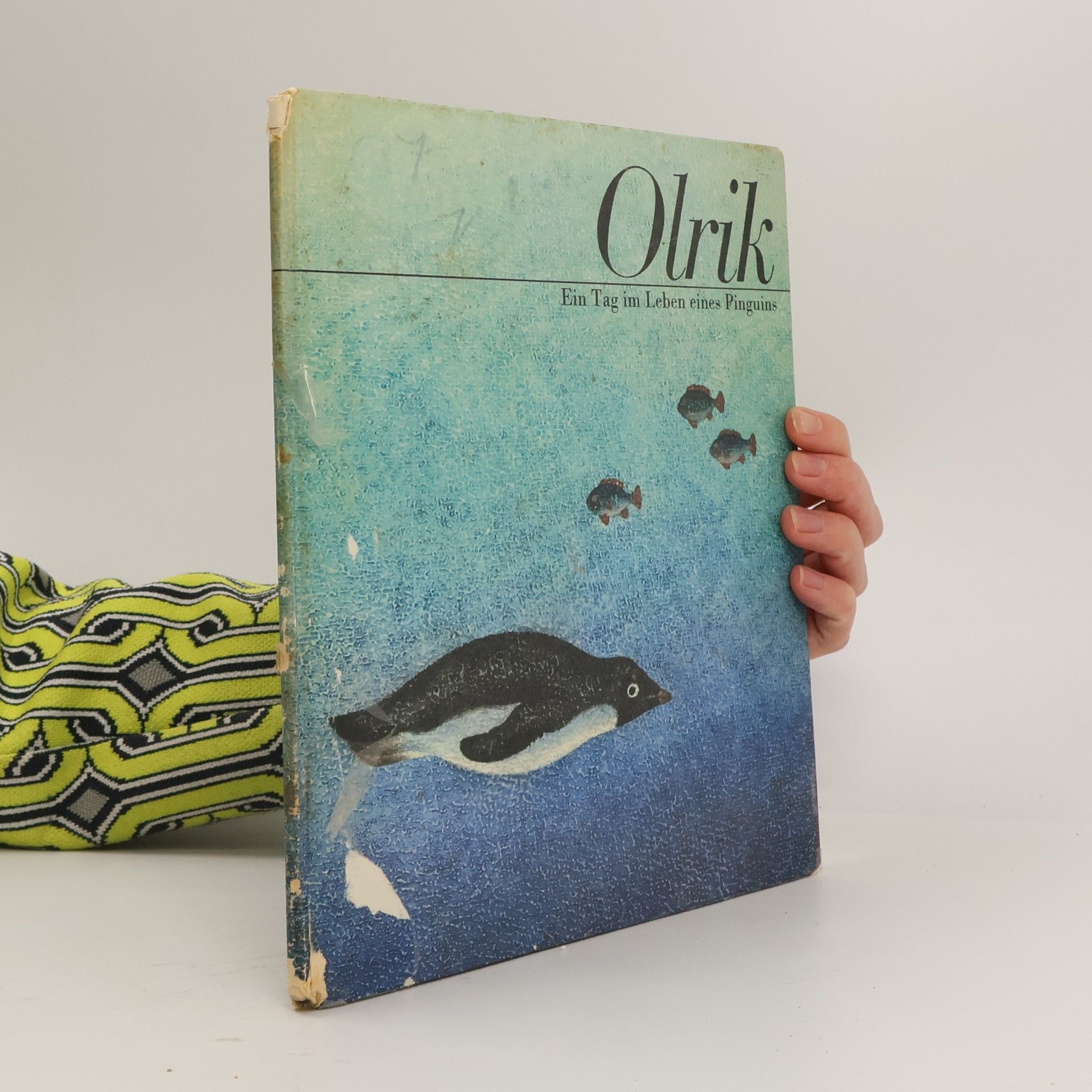 Autorenkollektiv Olrik. Ein Tag im Leben eines Pinguins