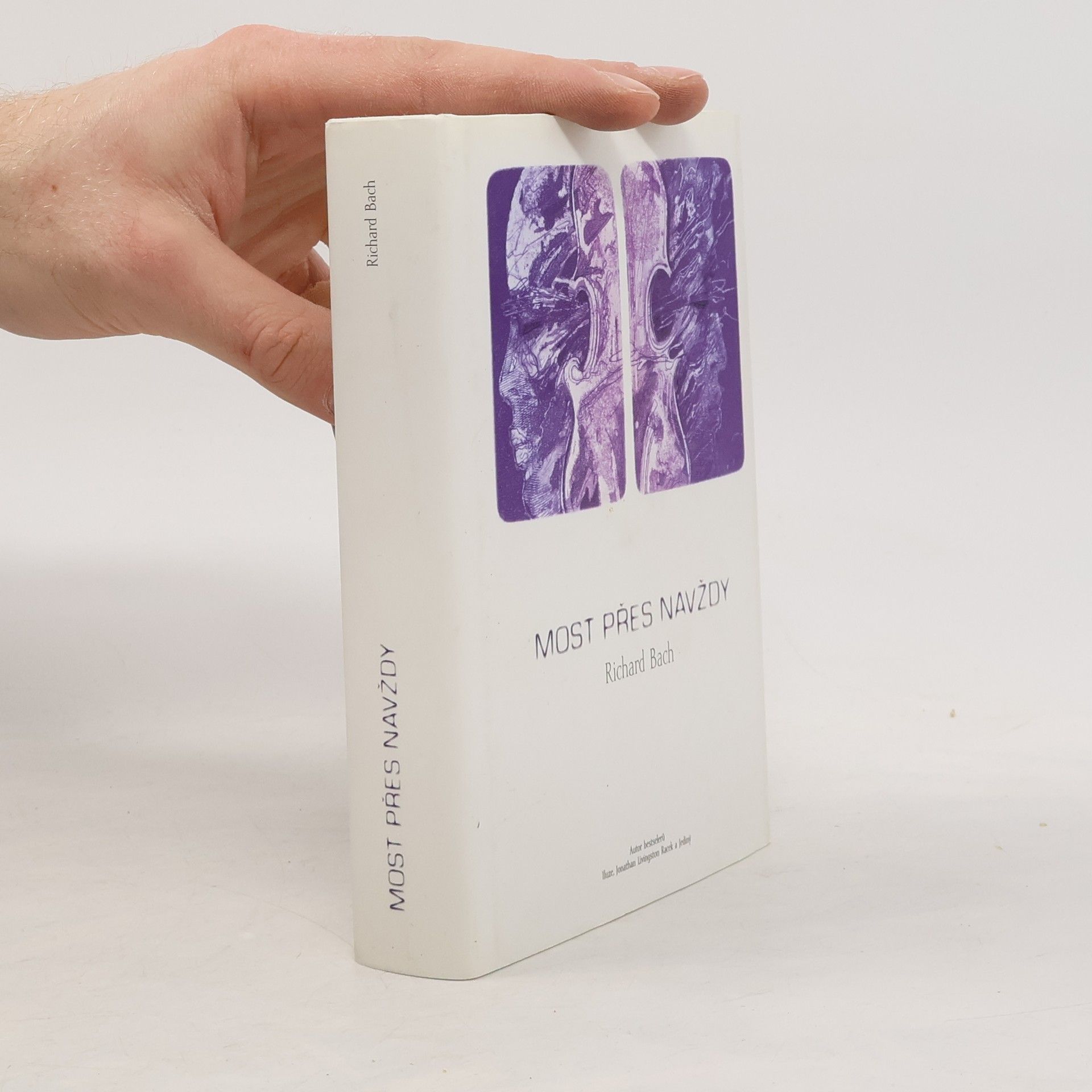 Richard Bach Most přes navždy