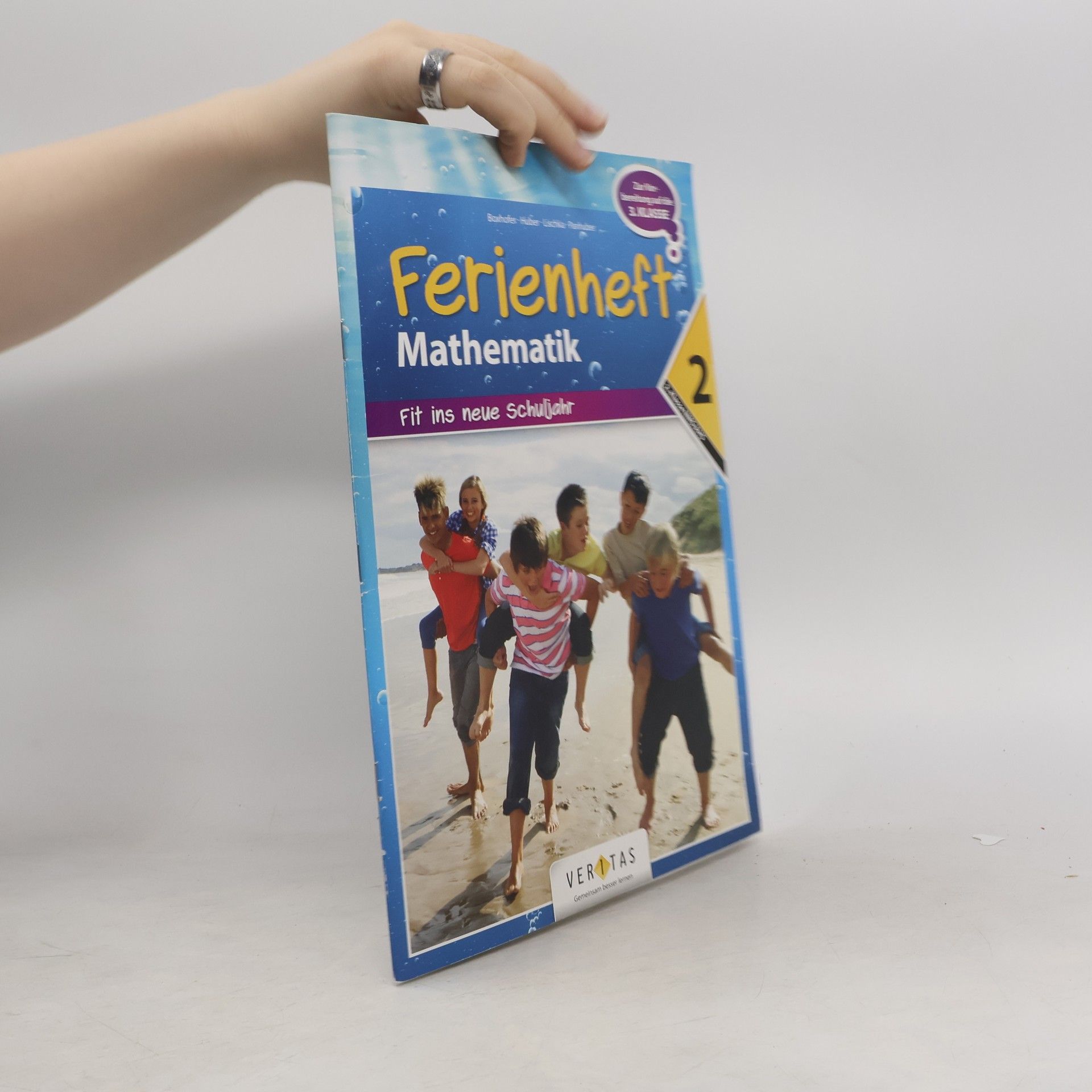 Mathematik 2 NEU. Ferienheft
