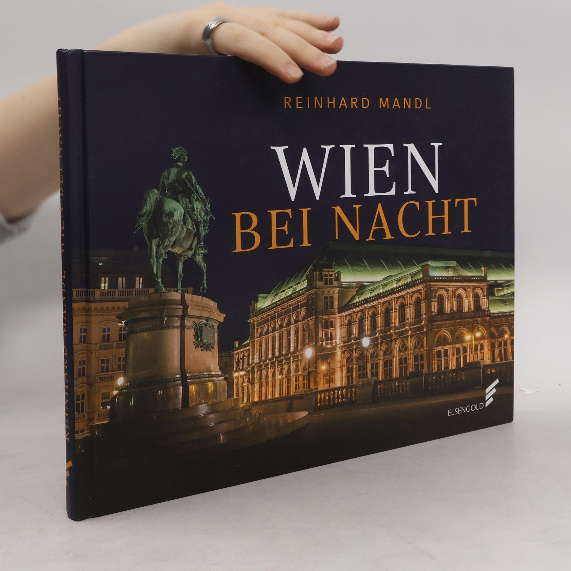 Reinhard Mandl Wien bei Nacht