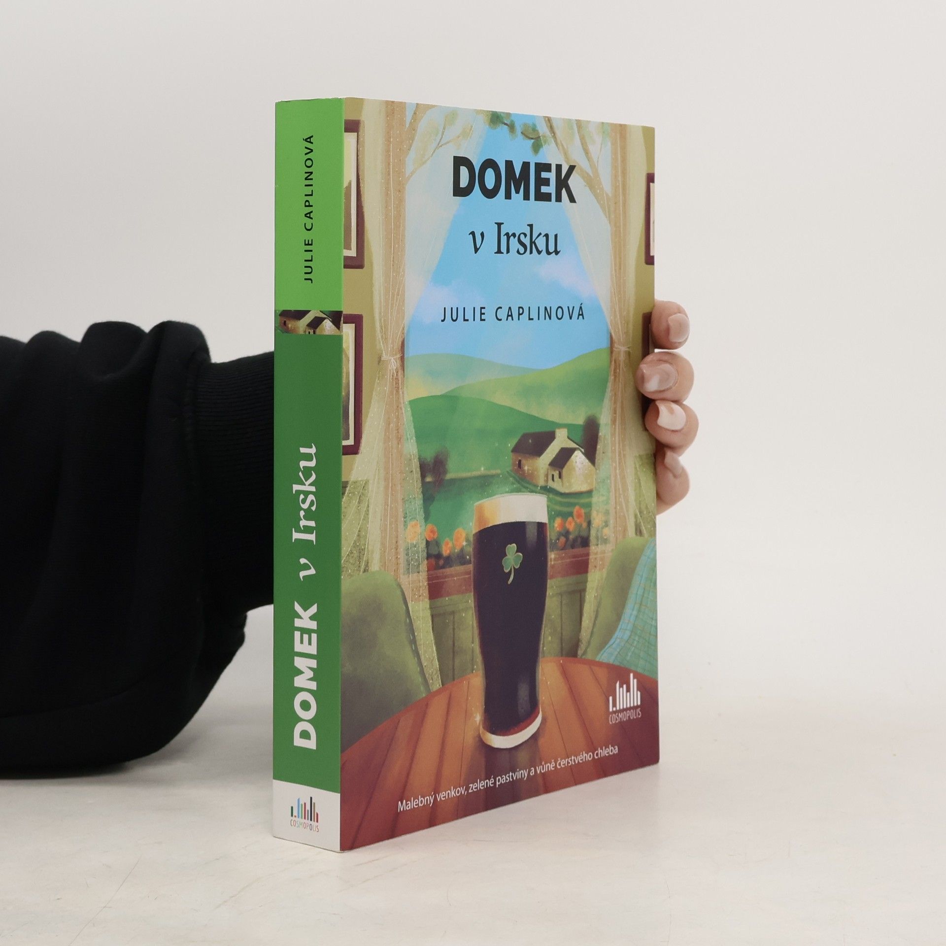 Julie Caplin Domek v Irsku