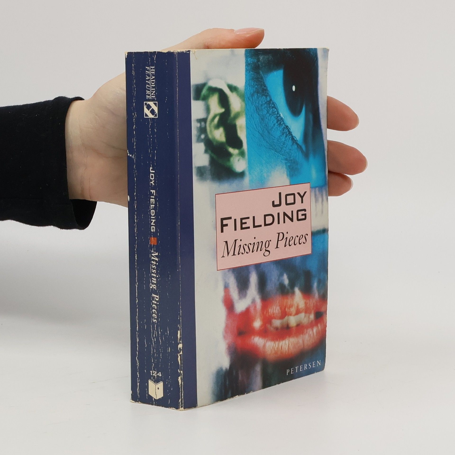 Joy Fielding Missing Pieces