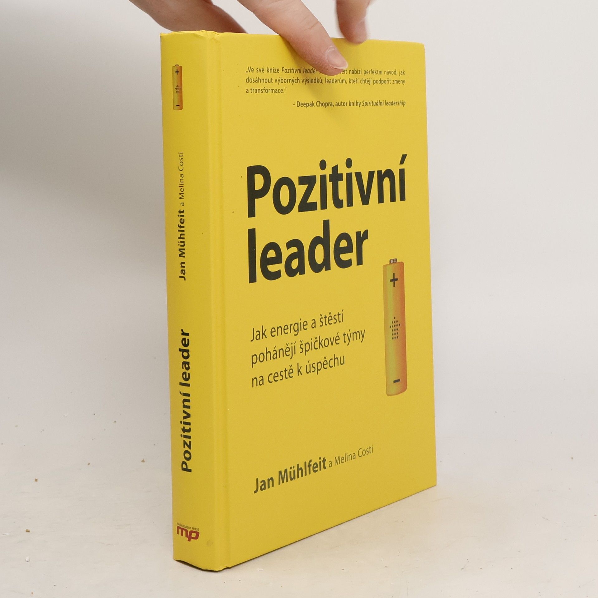 Jan Mühlfeit Pozitivní leader