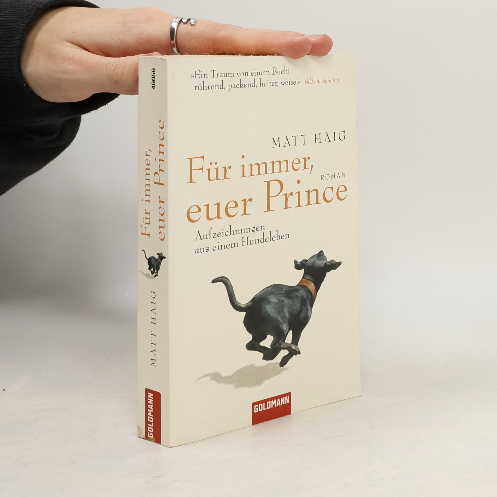 Matt Haig Für immer, euer Prince