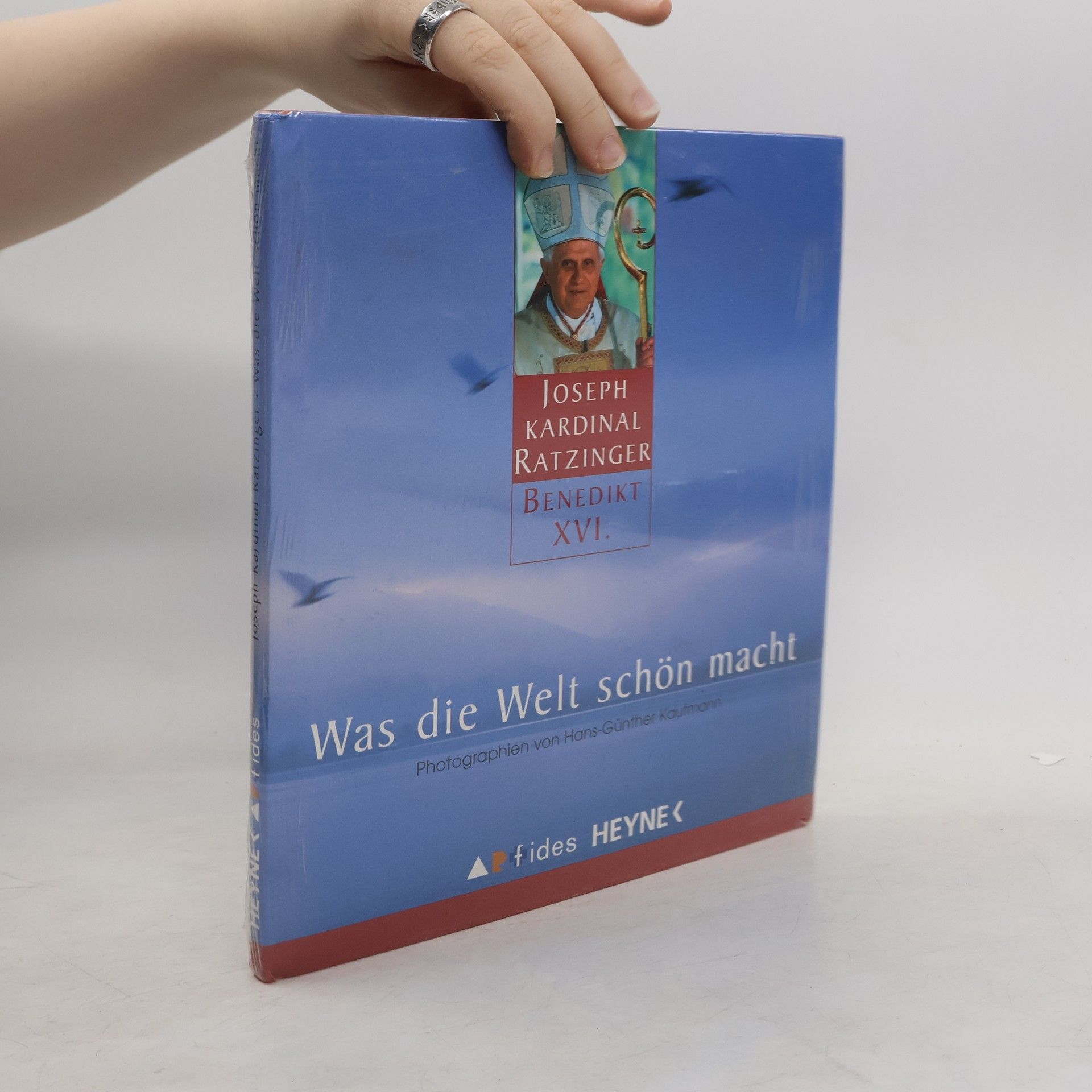 Collectif d'auteurs Was die Welt schön macht