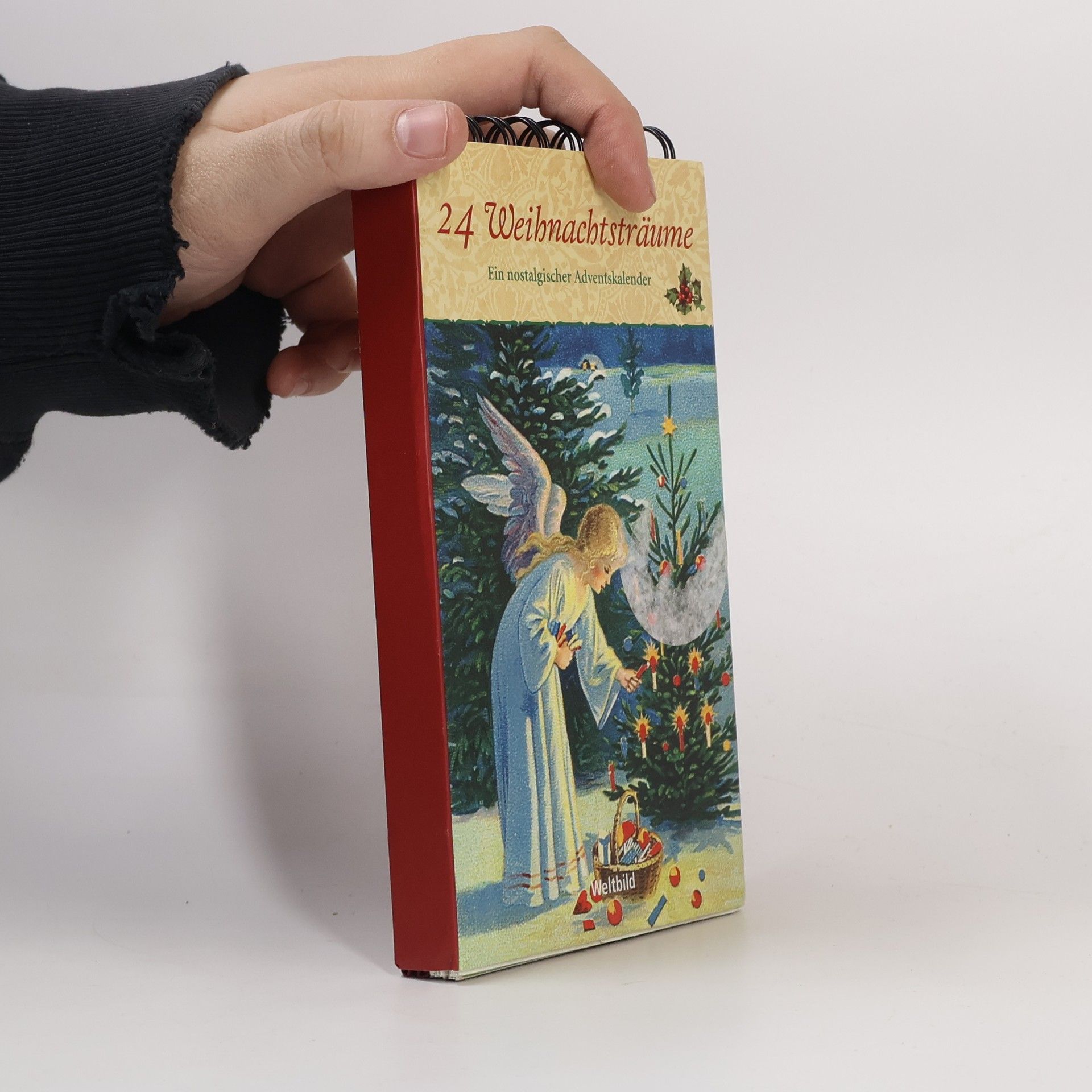 Auteurscollectief 24 Weihnachtsträume