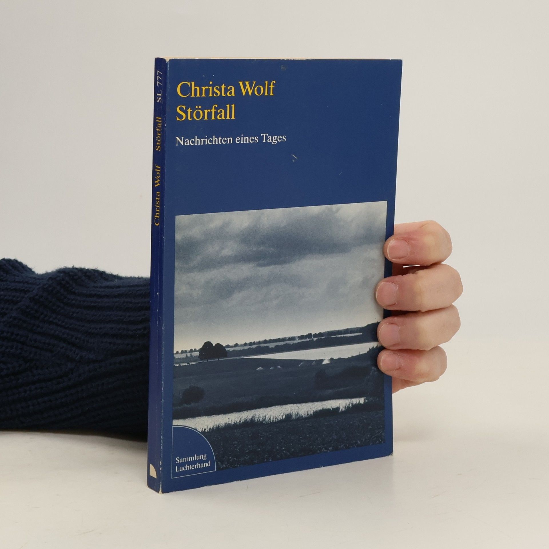 Christa Wolf Störfall