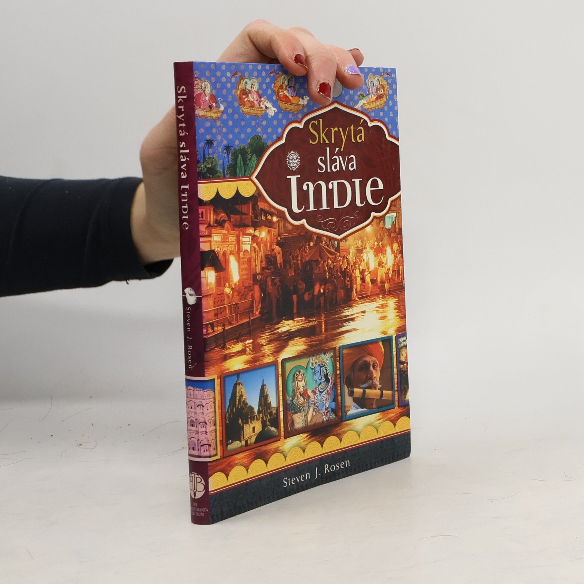 Steven Rosen Skrytá sláva Indie