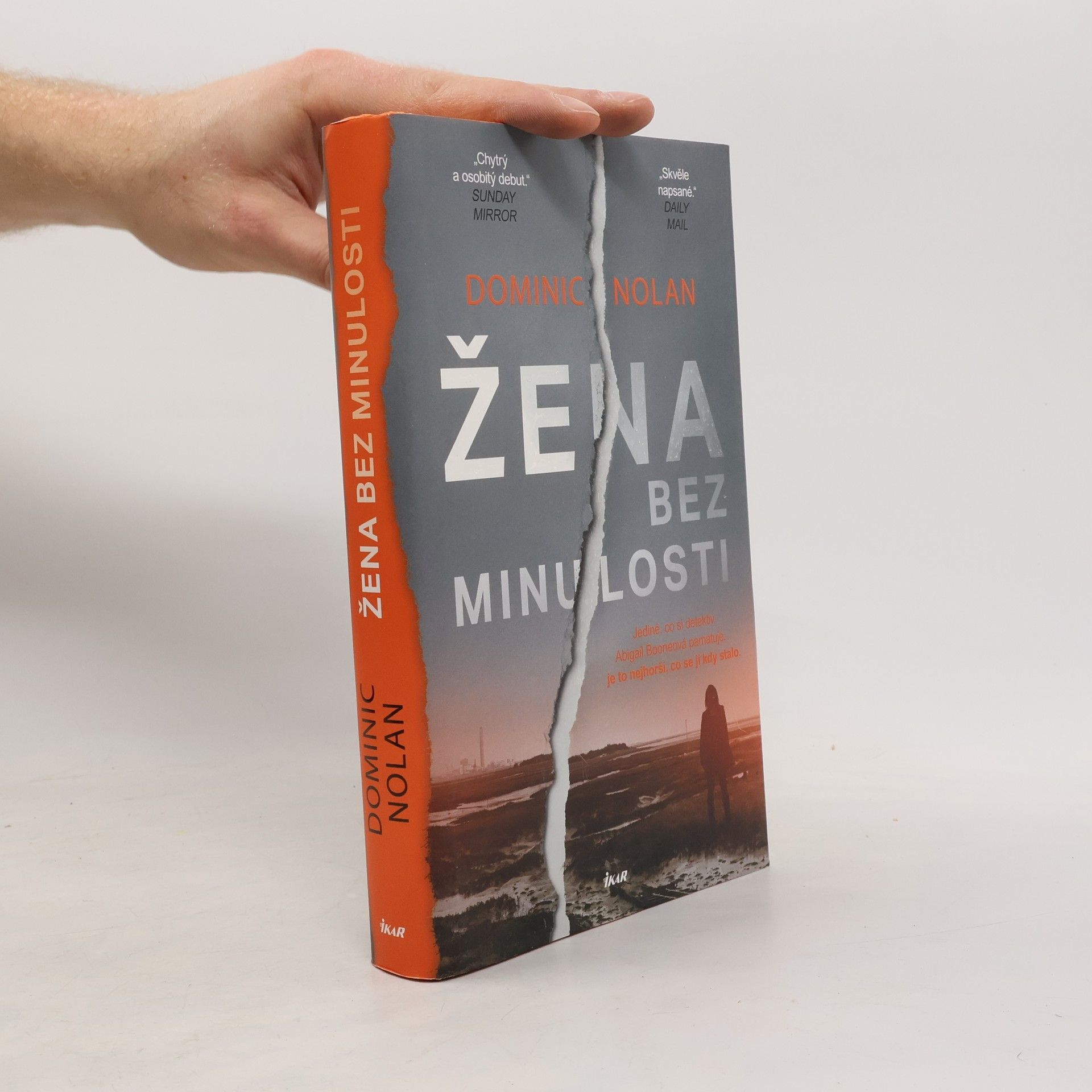 Dominic Nolan Žena bez minulosti