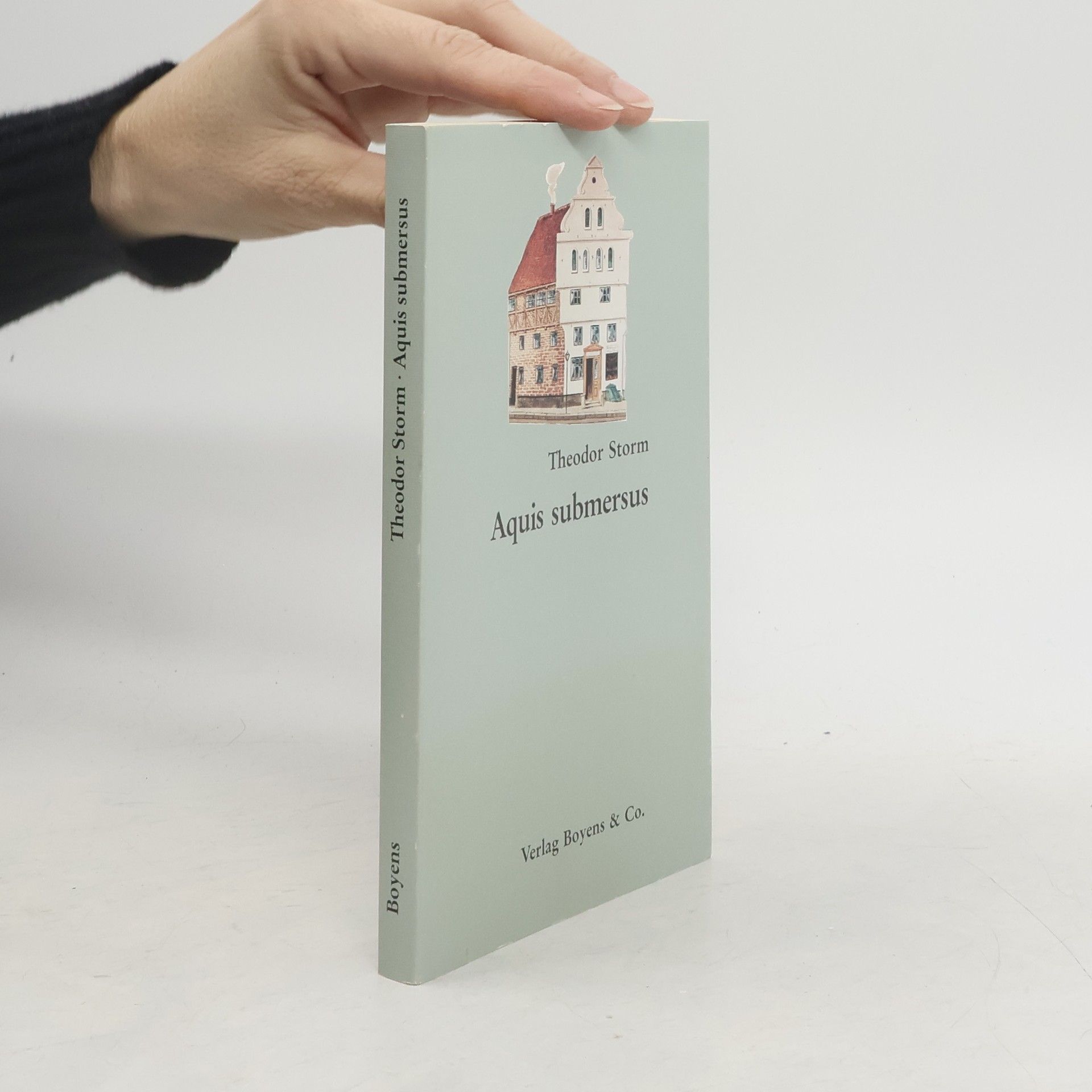 Theodor Storm Aquis submersus
