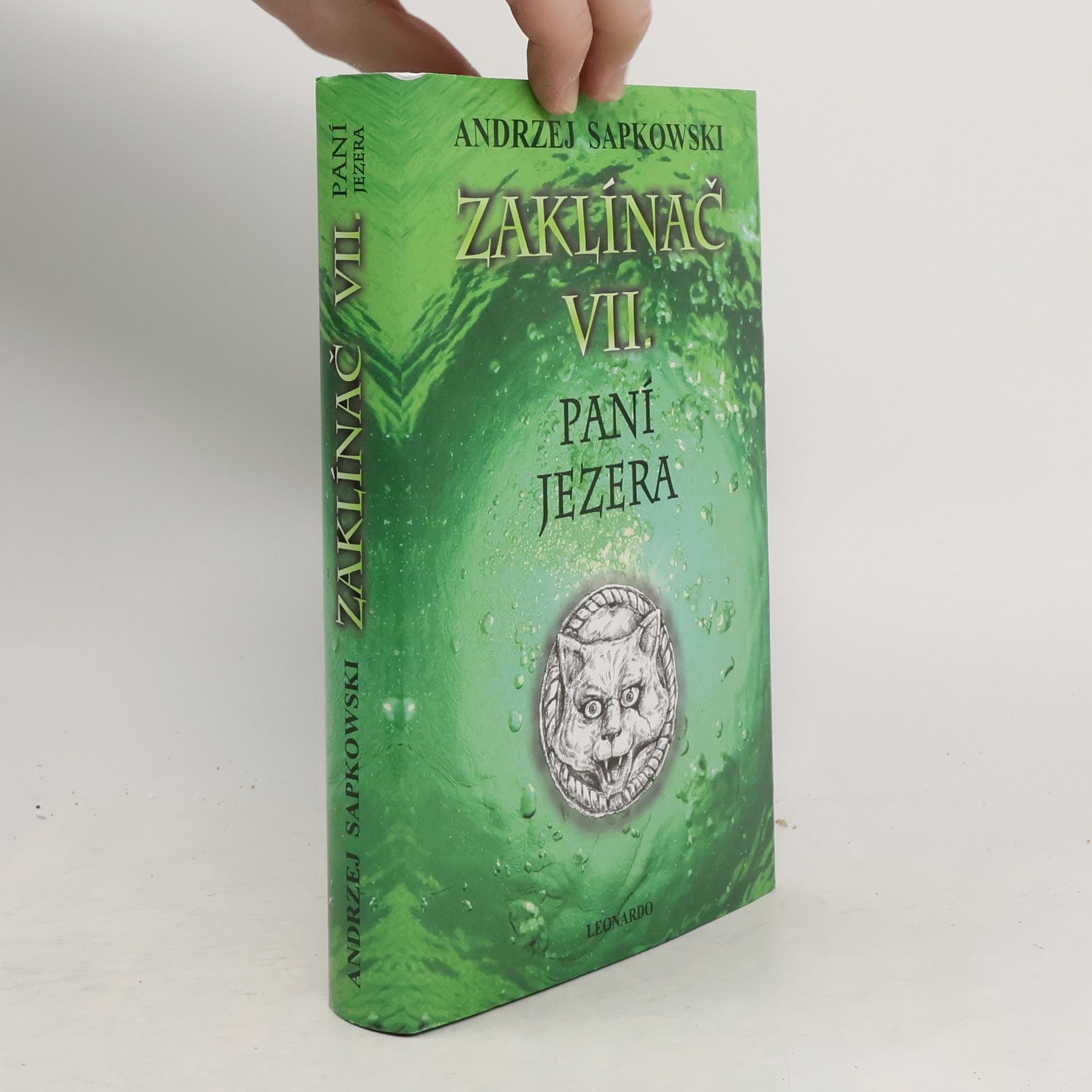 Andrzej Sapkowski Paní jezera