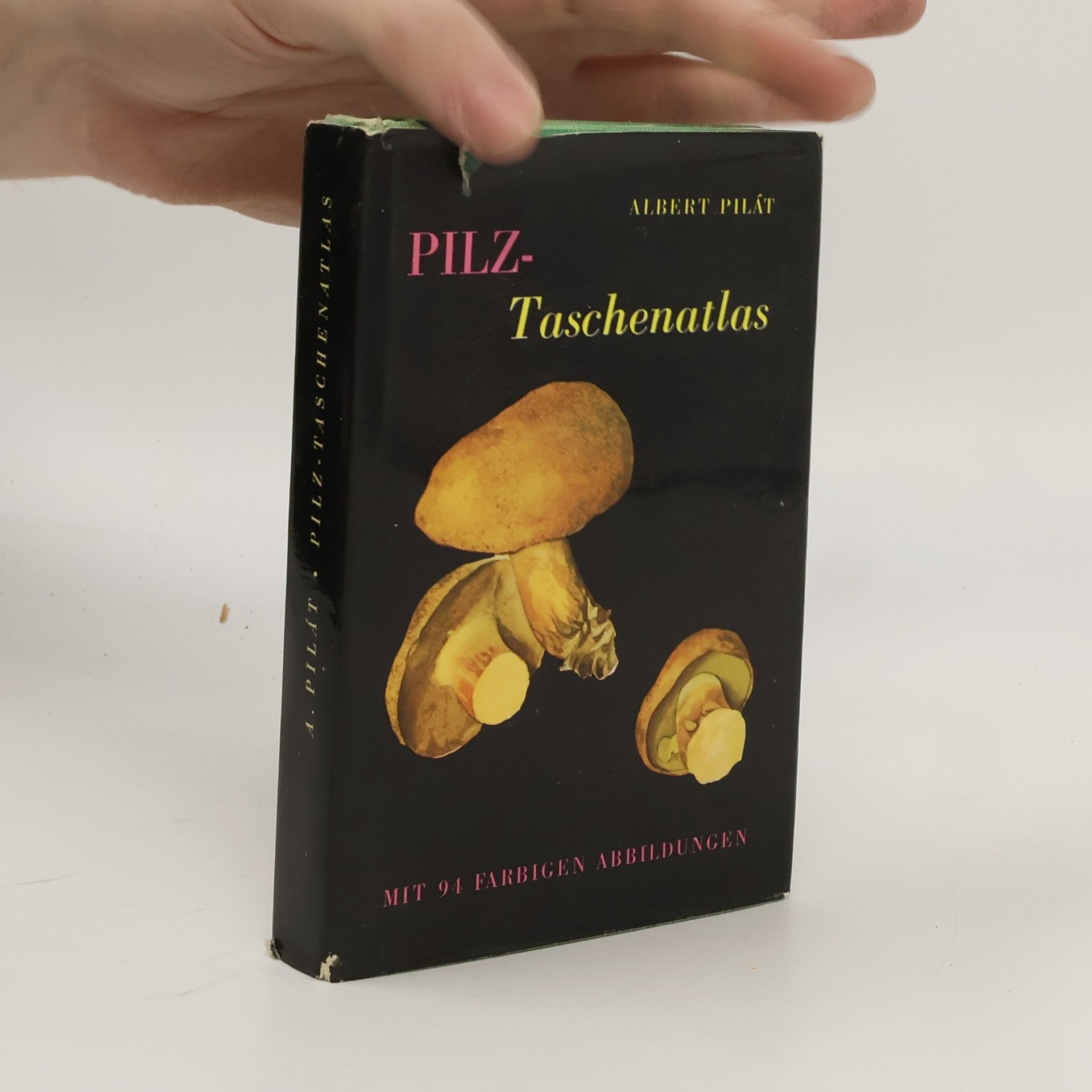 Albert Pilát Pilztaschenatlas