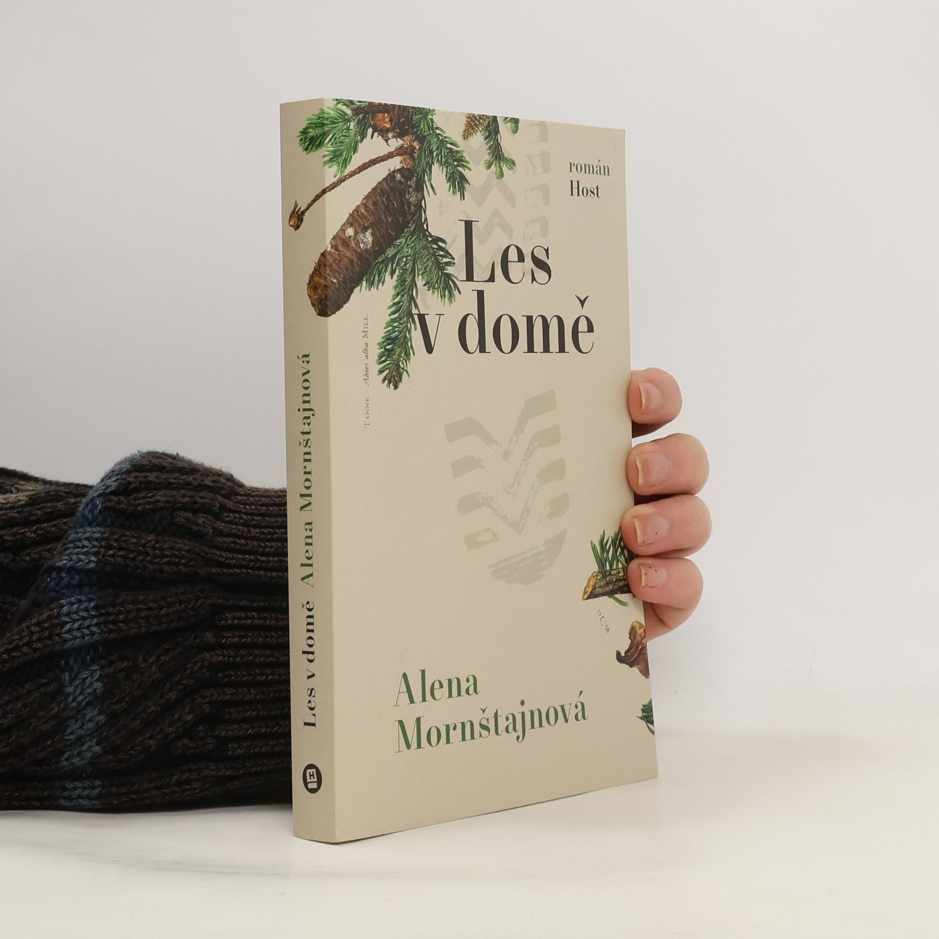 Alena Mornštajnová Les v domě