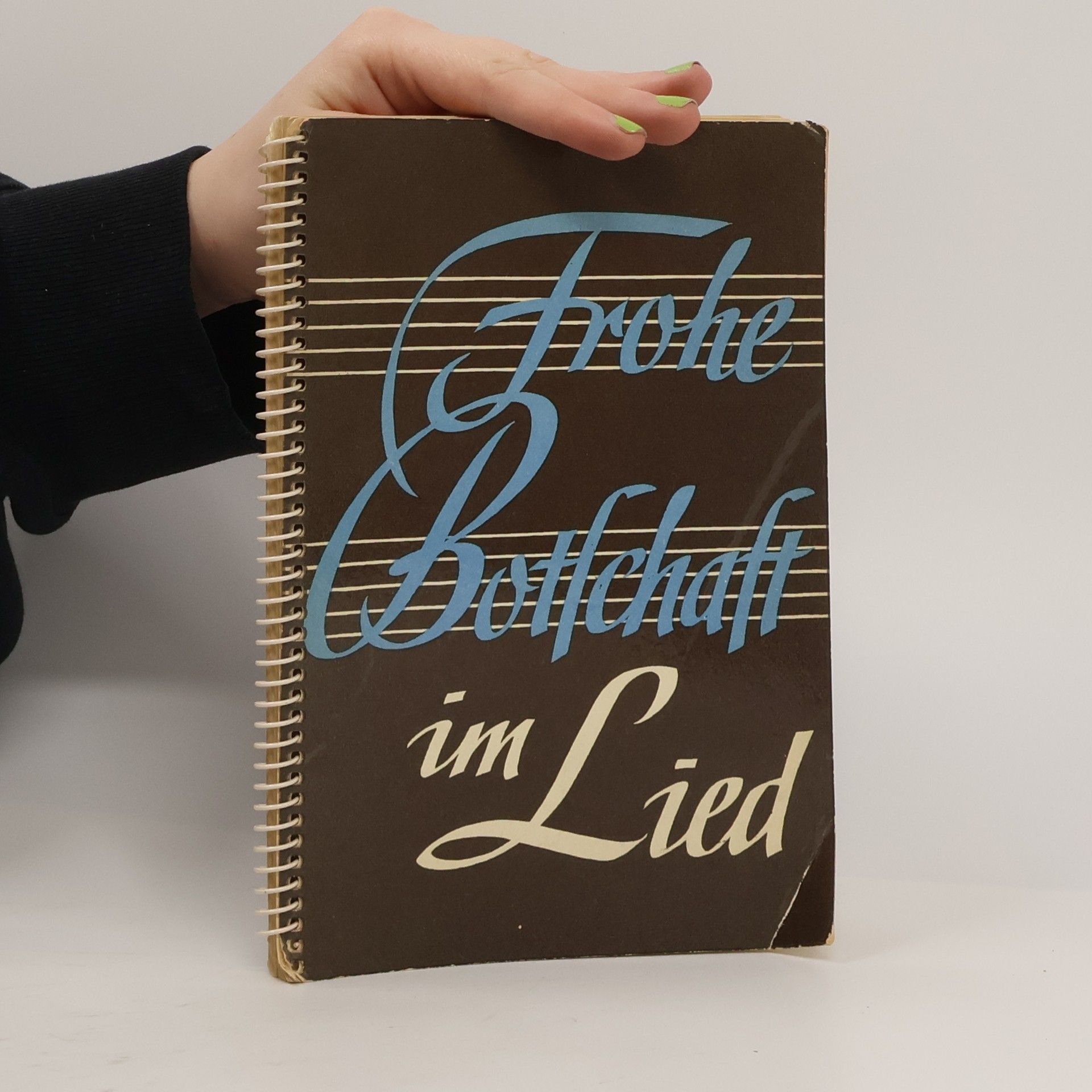 Kolektiv autorů Frohe Botschaft im Lied