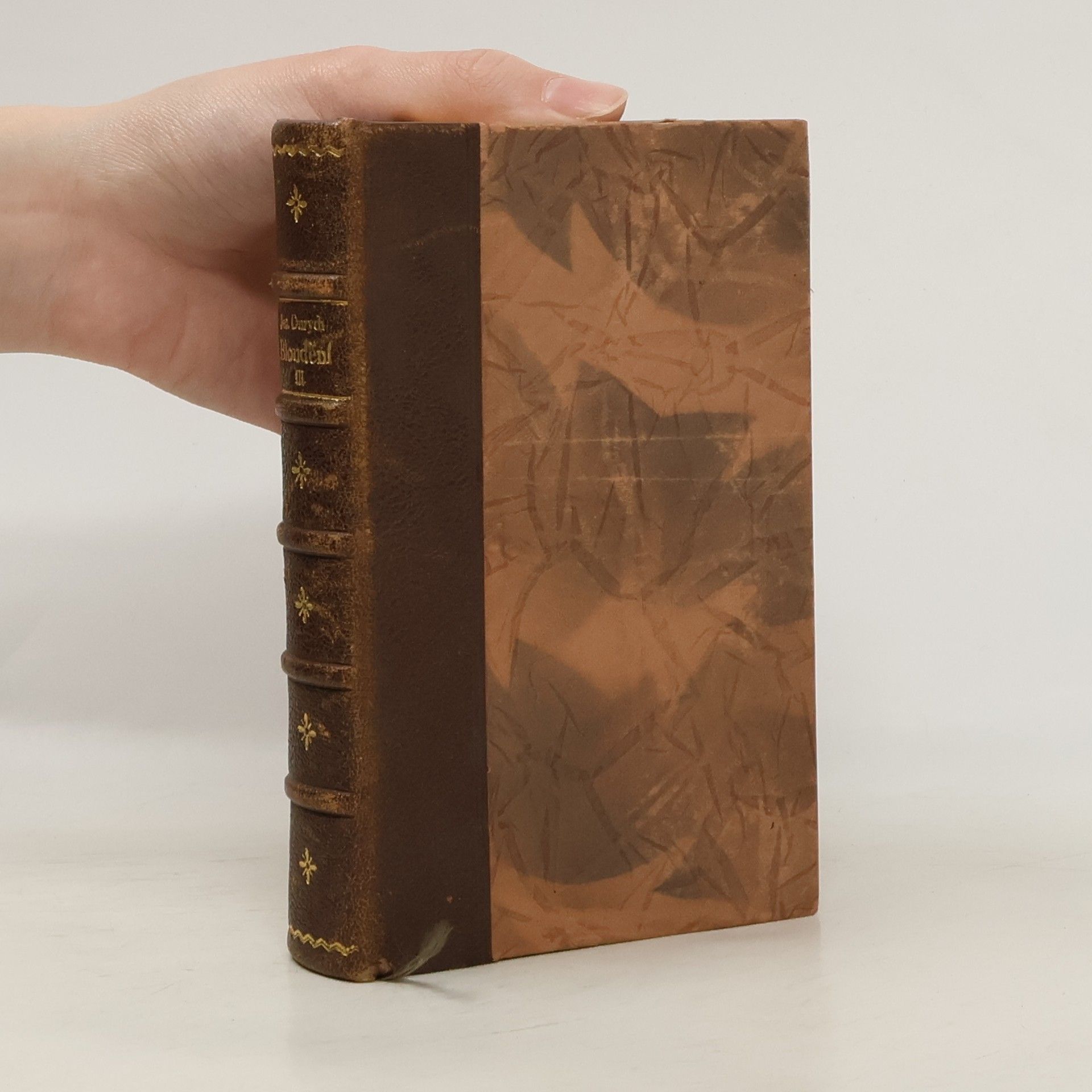 Jaroslav Durych Bloudění III.