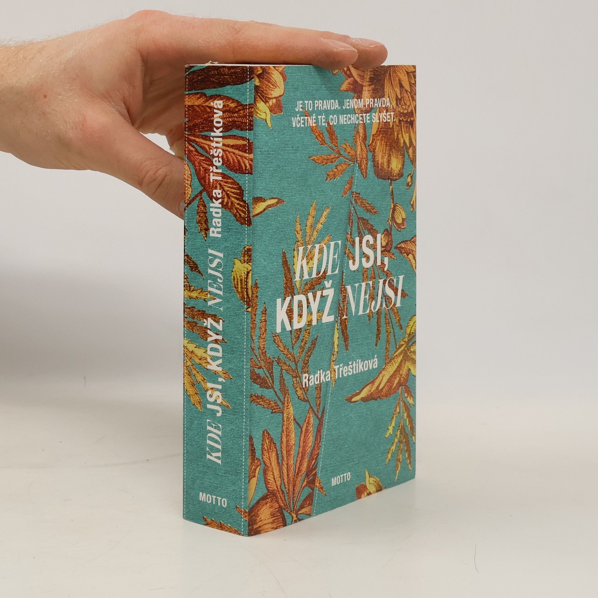 Radka Třeštíková Kde jsi, když nejsi