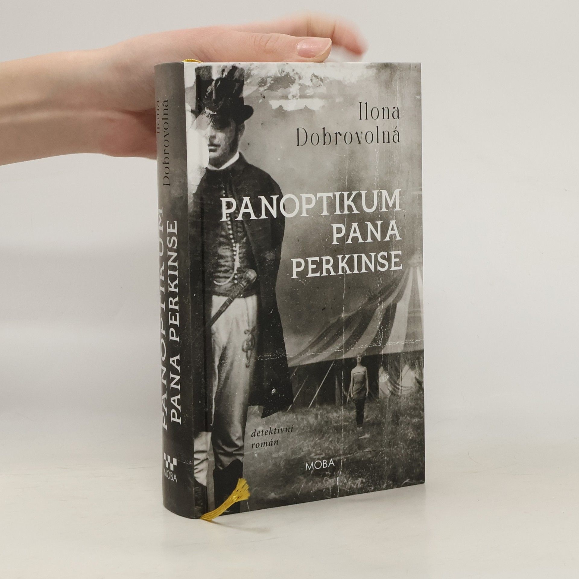 Ilona Dobrovolná Panoptikum pana Perkinse