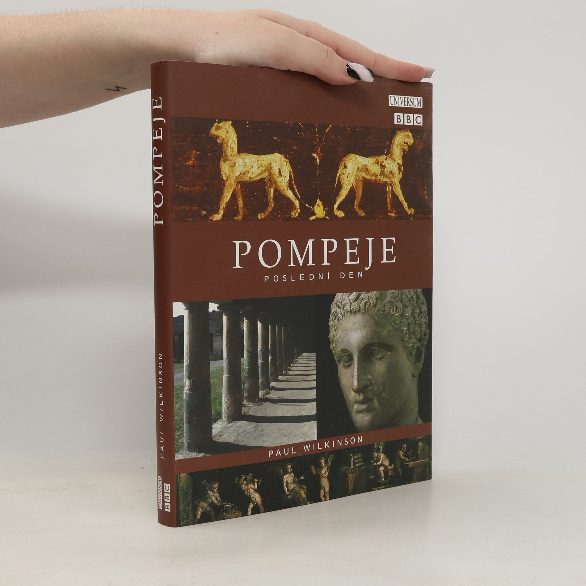 Paul Wilkinson Pompeje: poslední den