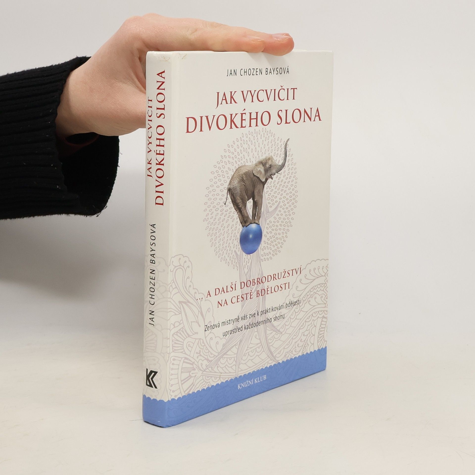 Jan Chozen Bays Jak vycvičit divokého slona...a další dobrodružství na cestě bdělosti