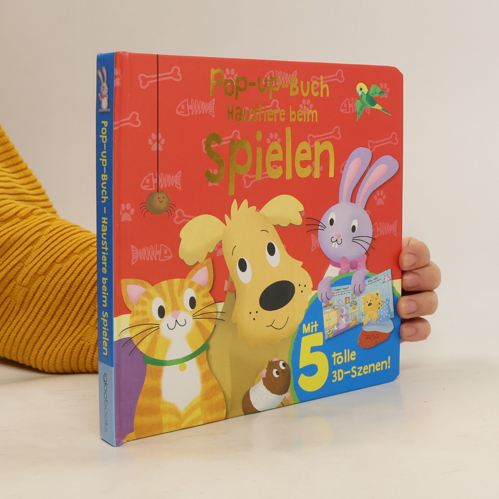 Helen Rowe Pop-up-Buch: Haustiere beim Spielen