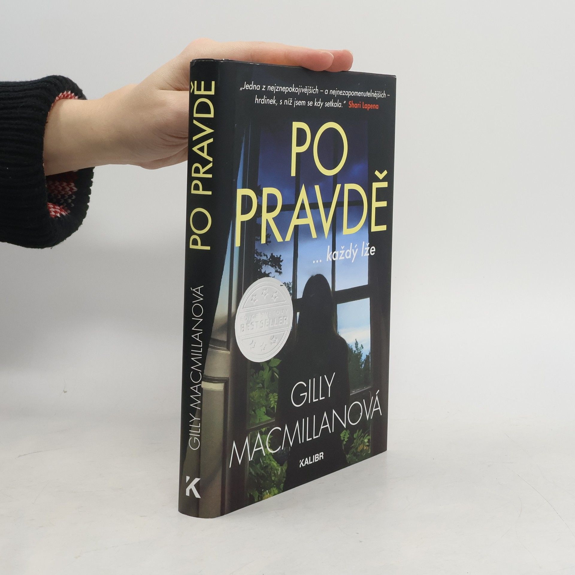 Gilly Macmillan Po pravdě ...každý lže