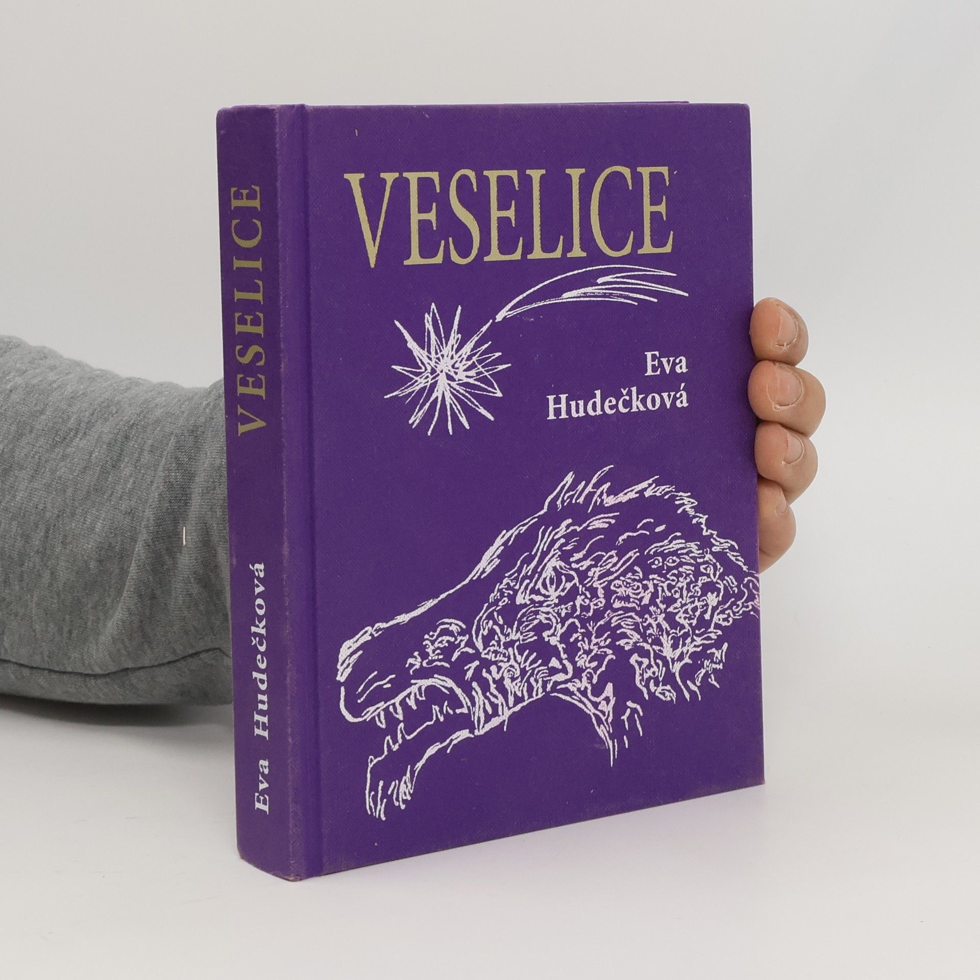 Eva Hudečková Veselice