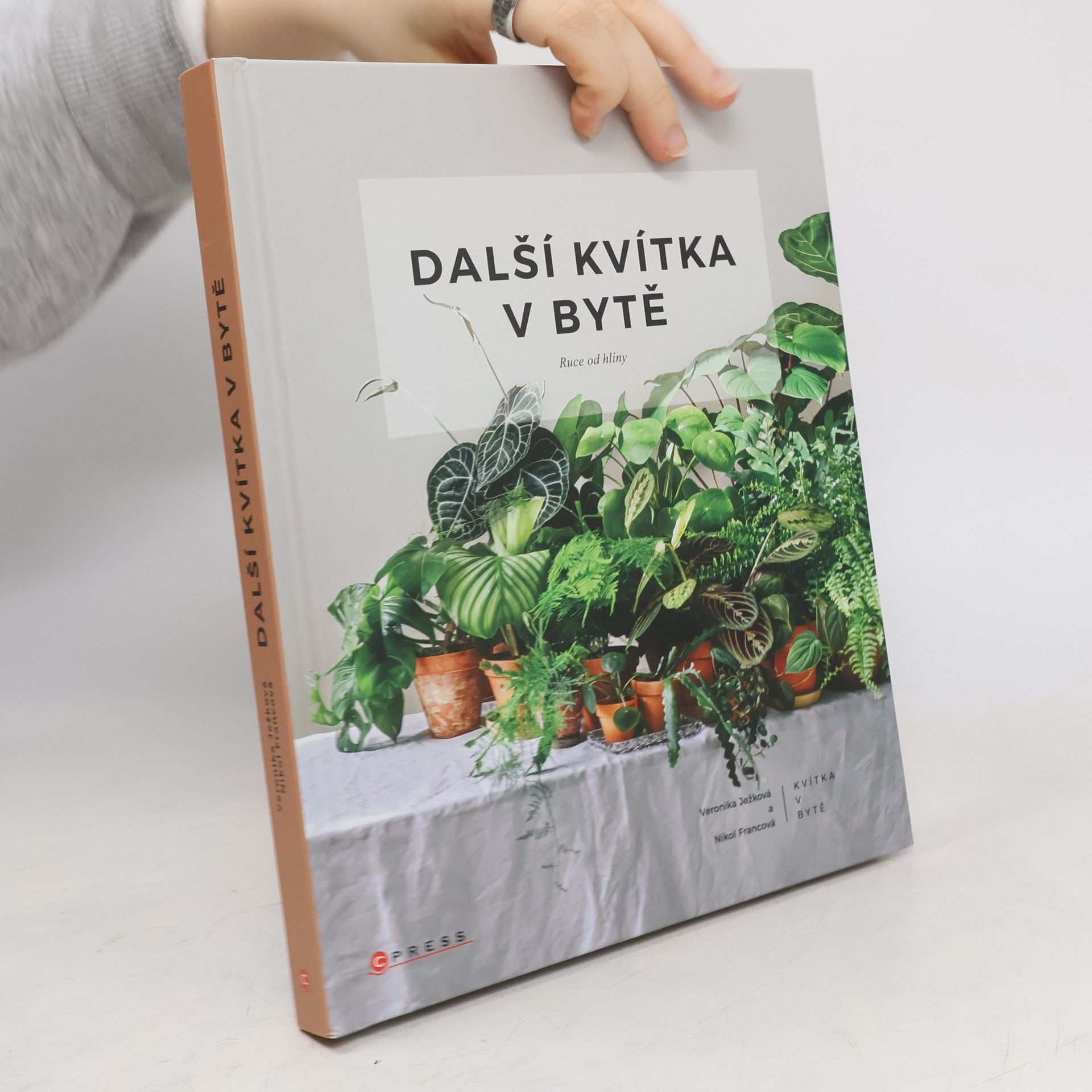 Další kvítka v bytě : Ruce od hlíny